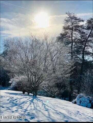 364 Jasmine Road Newport TN 37821