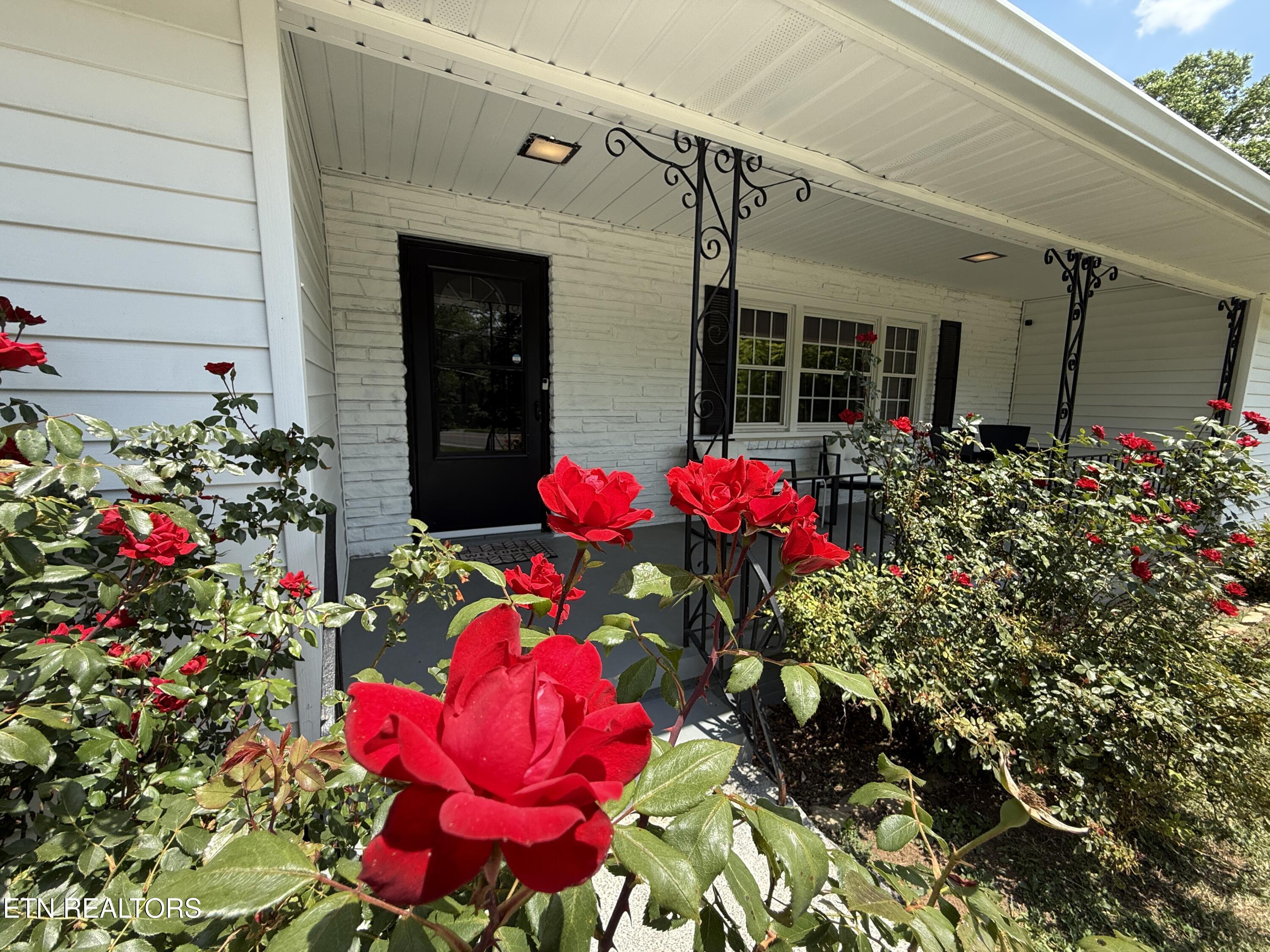 5504 Chapman Highway Knoxville TN 37920