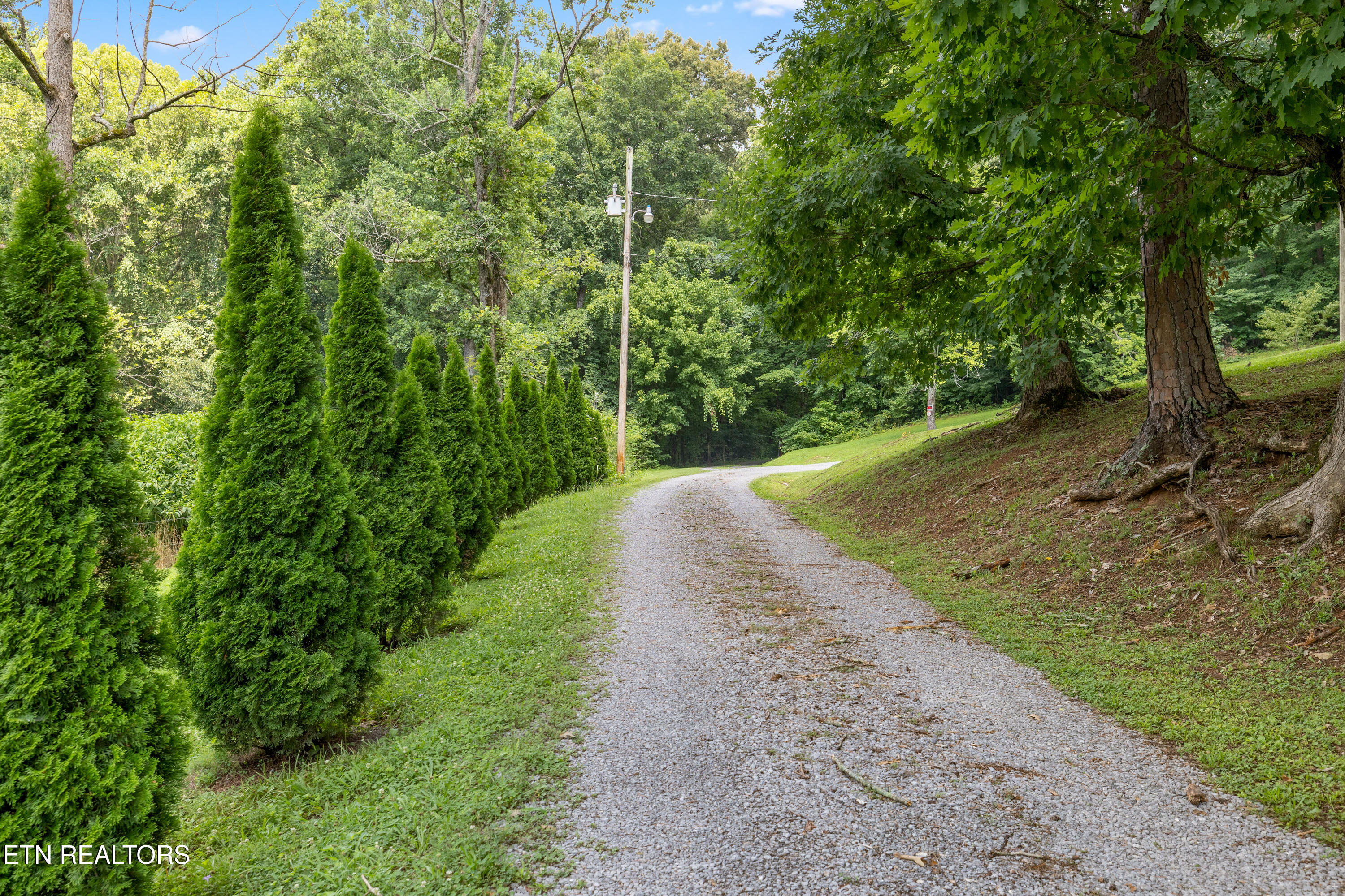 288 Mountain View Road Heiskell TN 37754