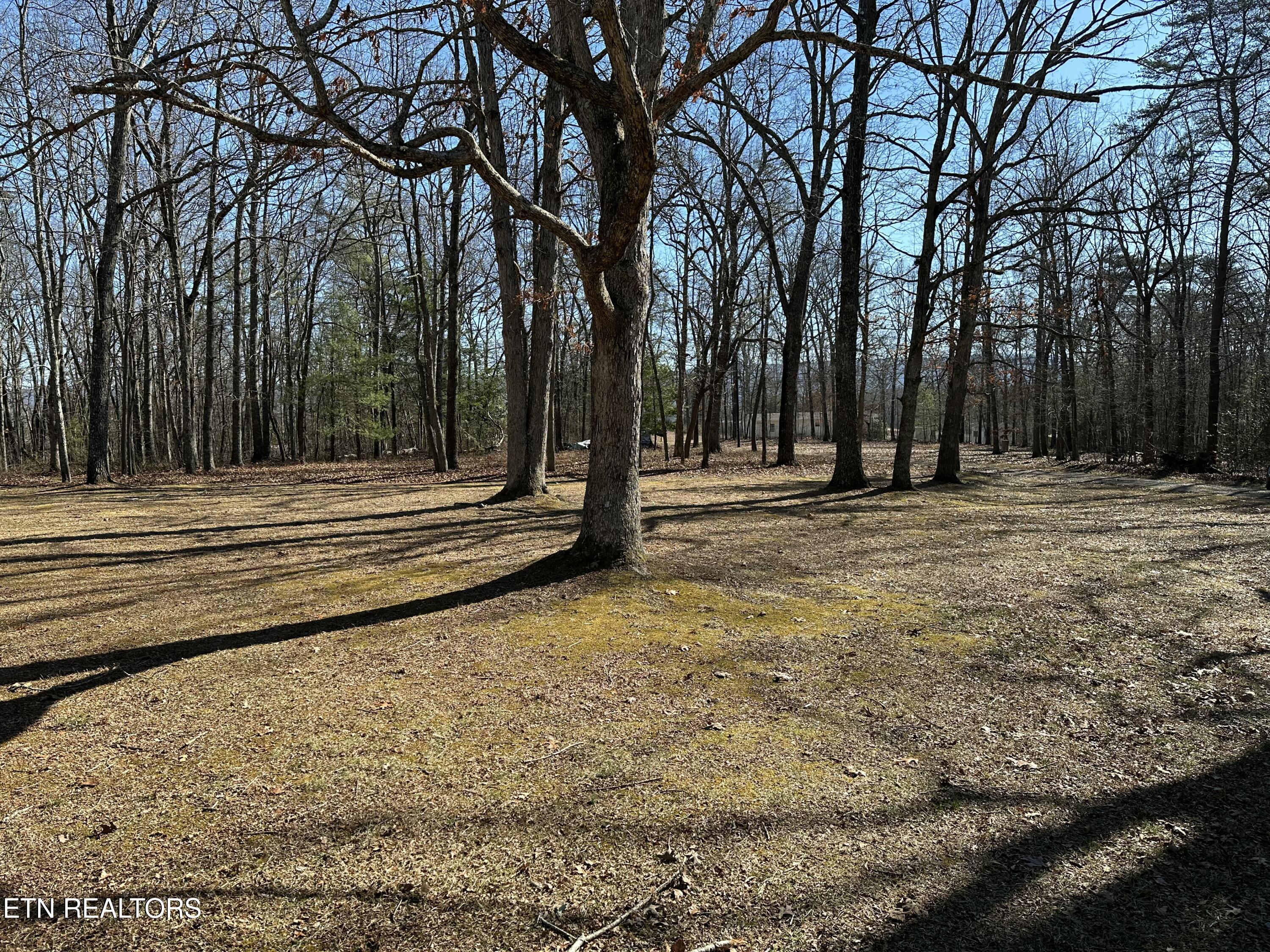 267 Eli Ford Road Crossville TN 38571