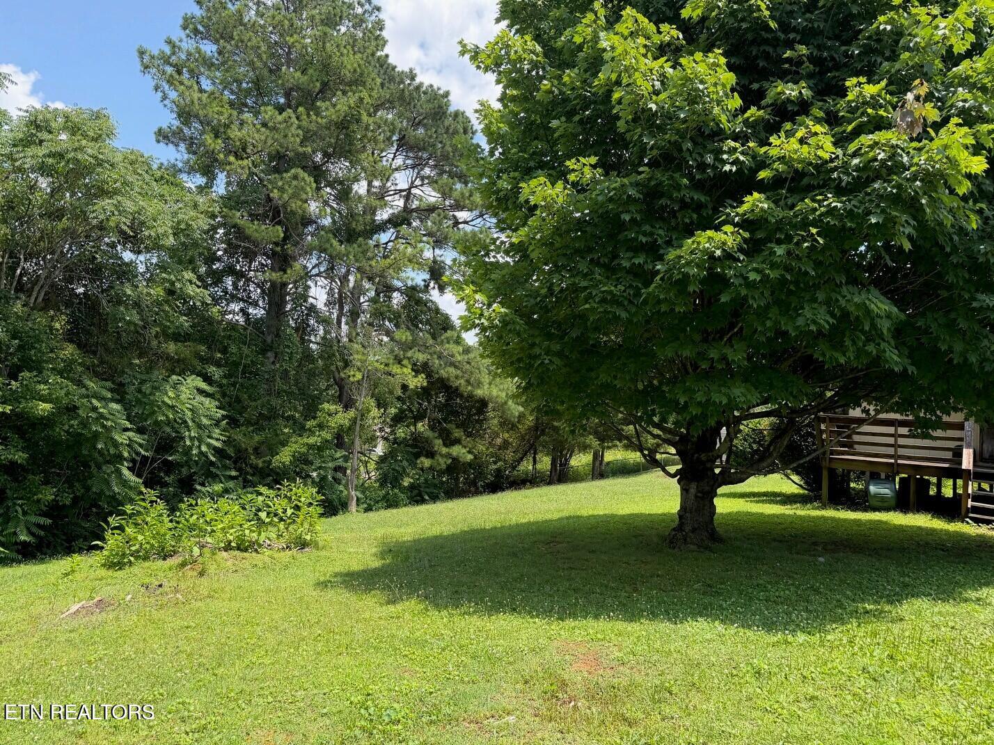 1930 Plumb Creek Circle Knoxville TN 37932