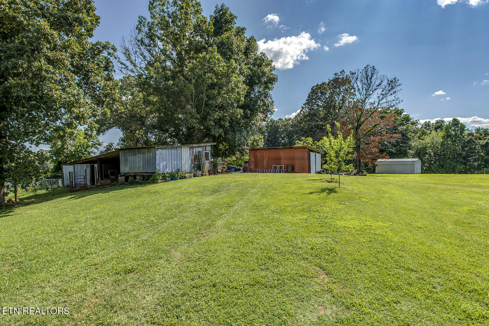 747 E Evans Street Rockwood TN 37854