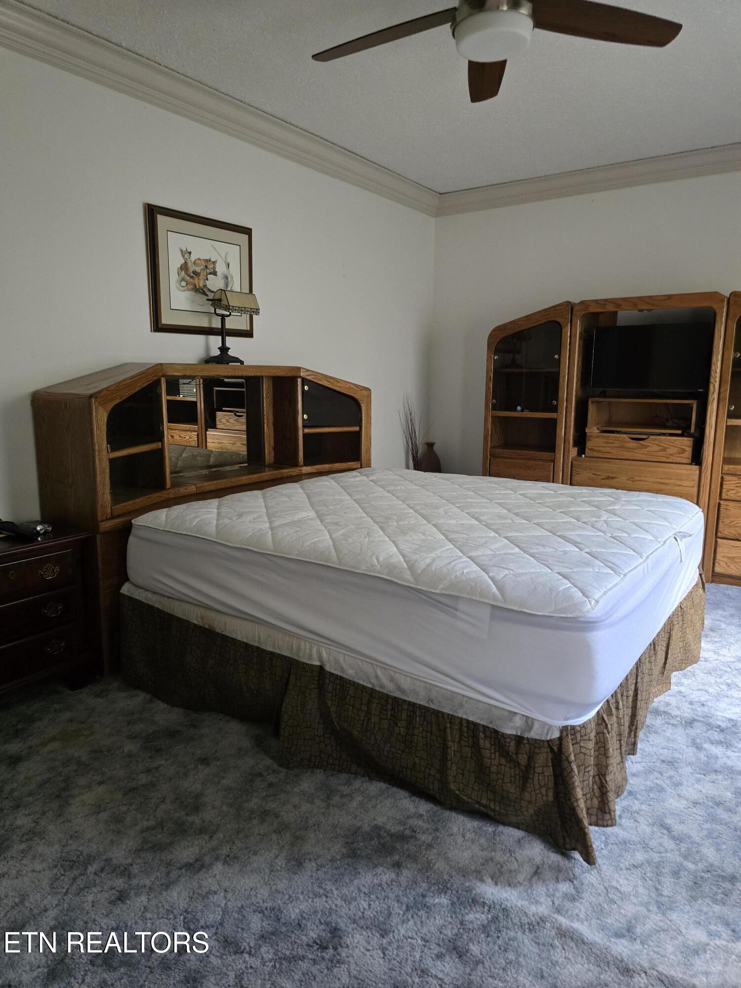 1654 Helenwood Detour Road Helenwood TN 37755
