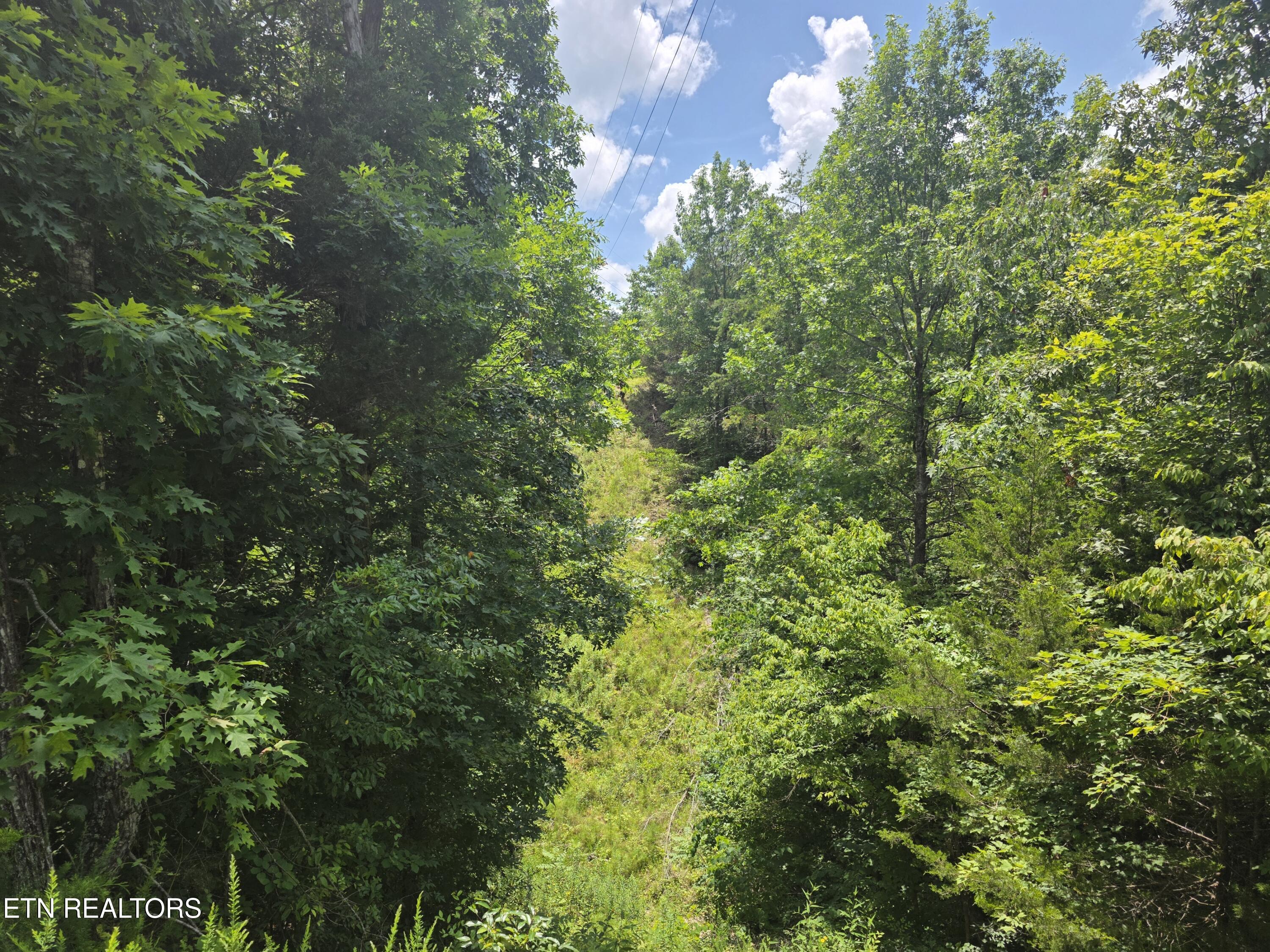 1034 Sierra Way Sevierville TN 37876