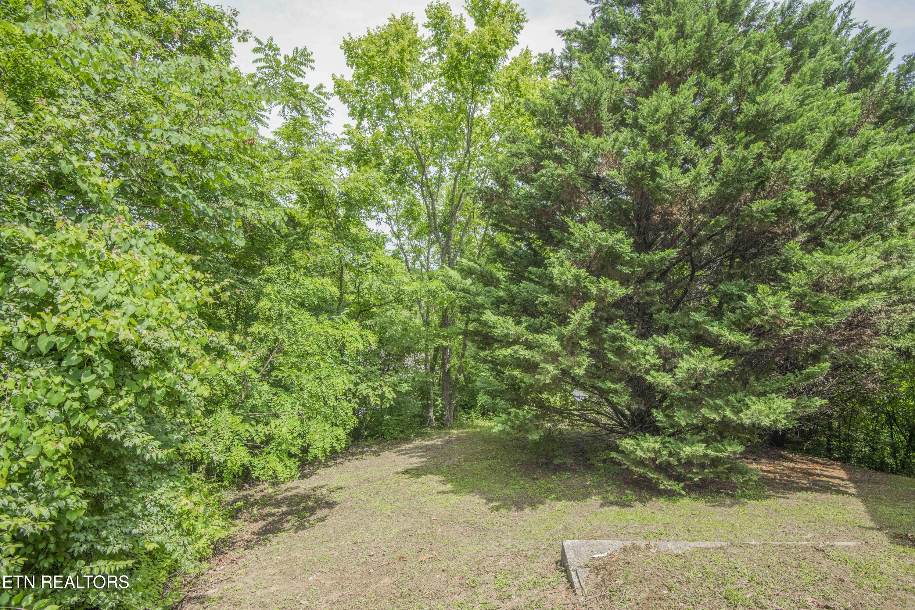 1615 Paradise Ridge Drive Sevierville TN 37862