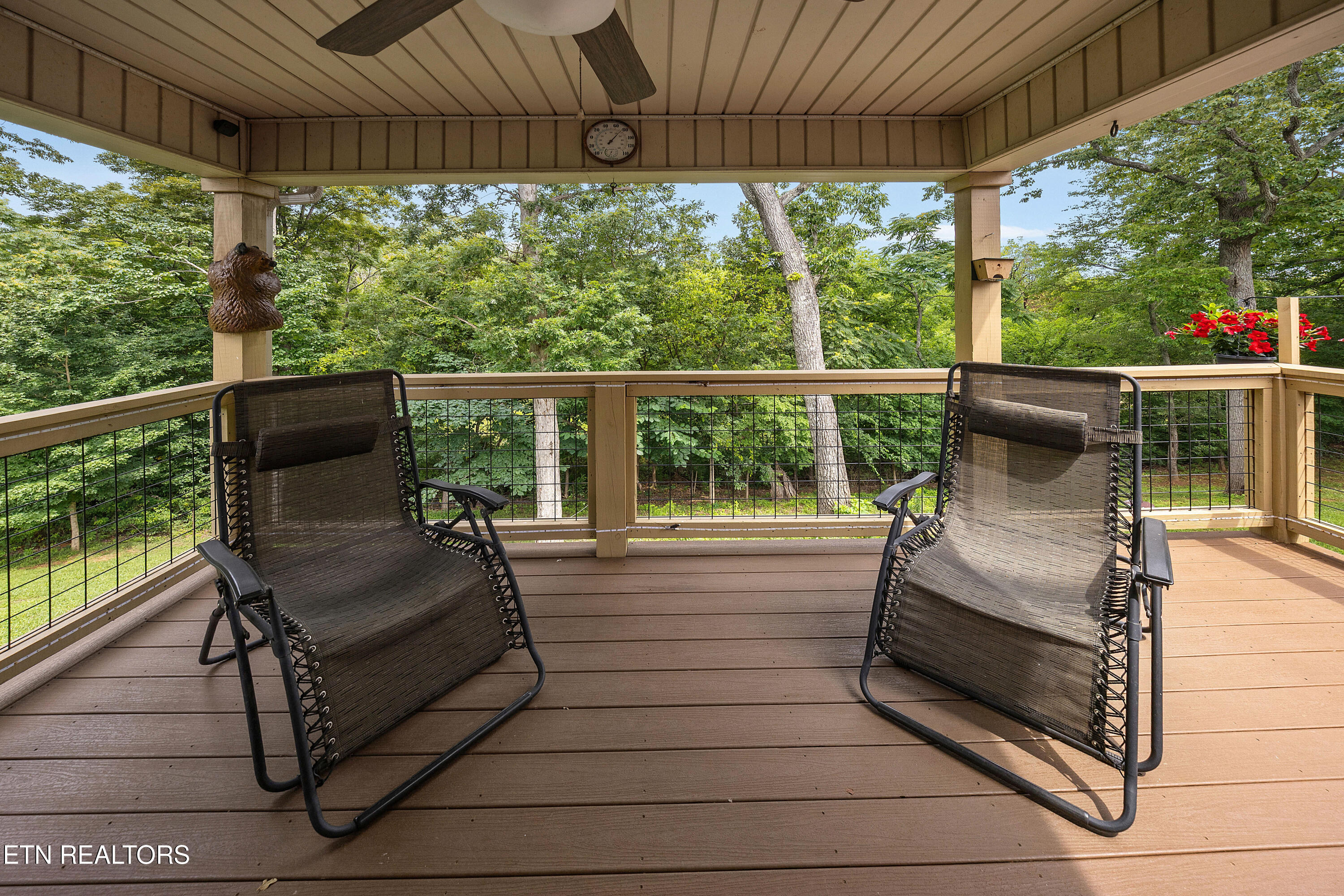 1502 Sally View Drive Friendsville TN 37737