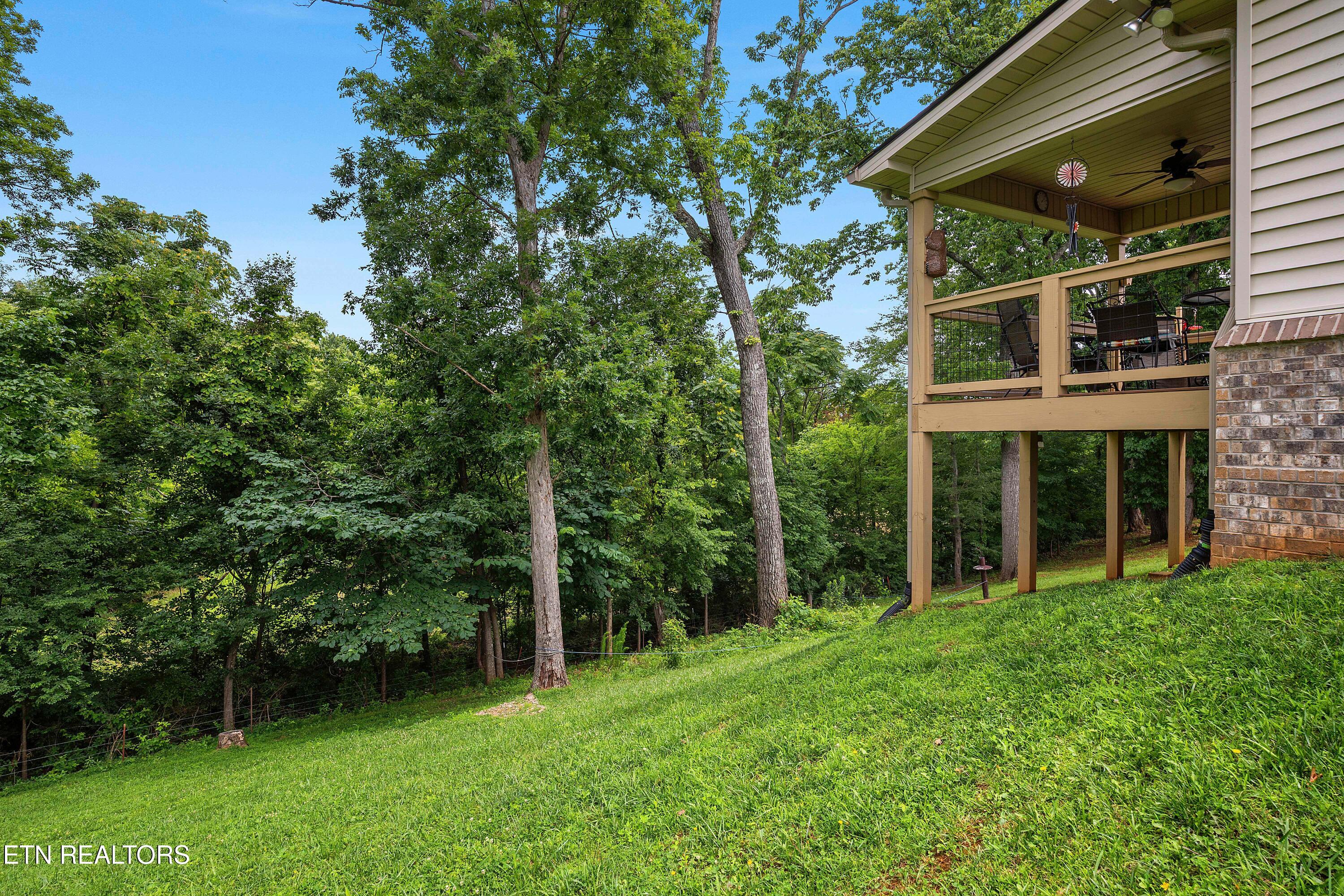 1502 Sally View Drive Friendsville TN 37737