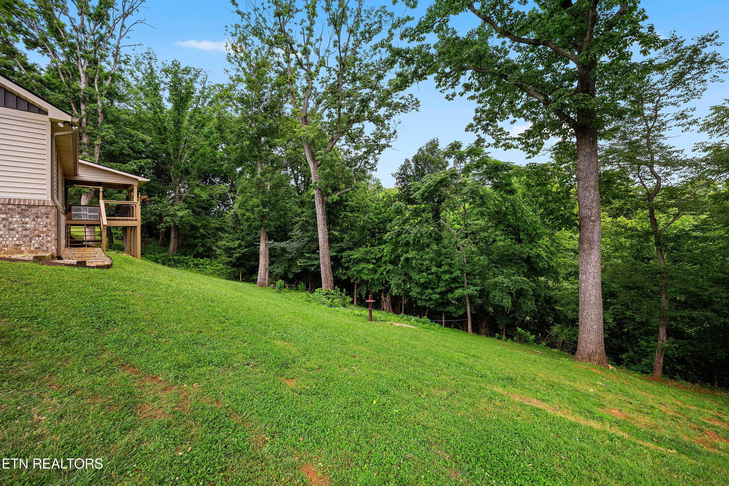 1502 Sally View Drive Friendsville TN 37737