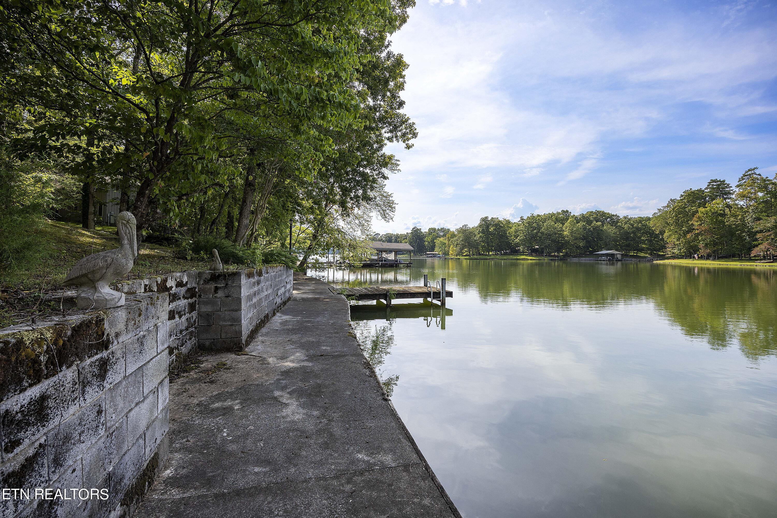 170 Bayview Drive Ten Mile TN 37880