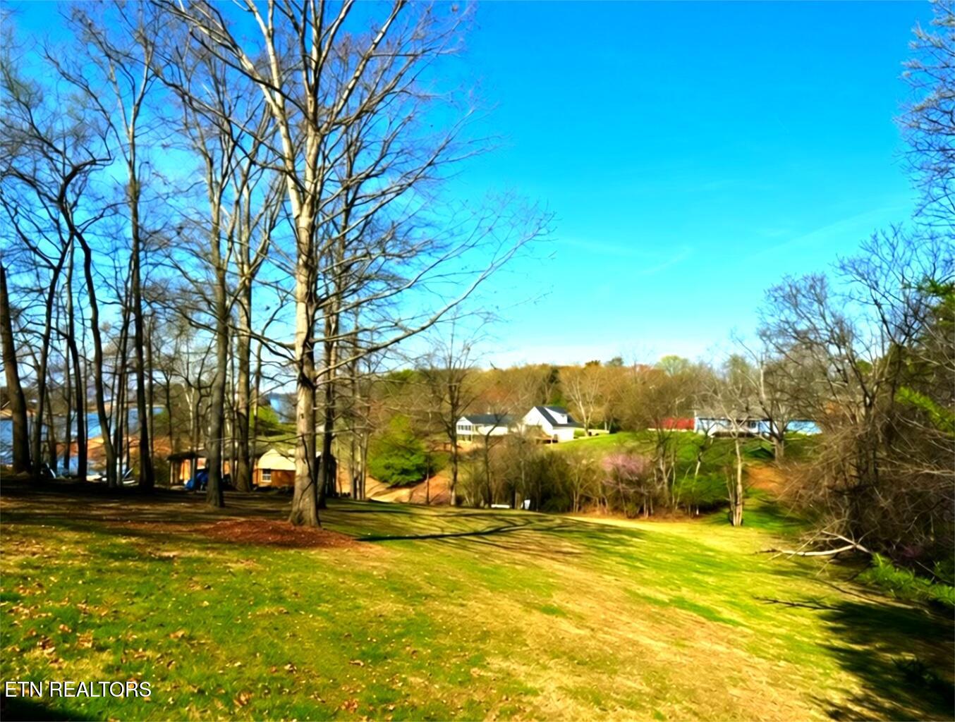 2107 Windy Cove Lane Talbott TN 37877