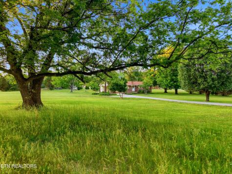 819 Rutledge Pike Blaine TN 37709
