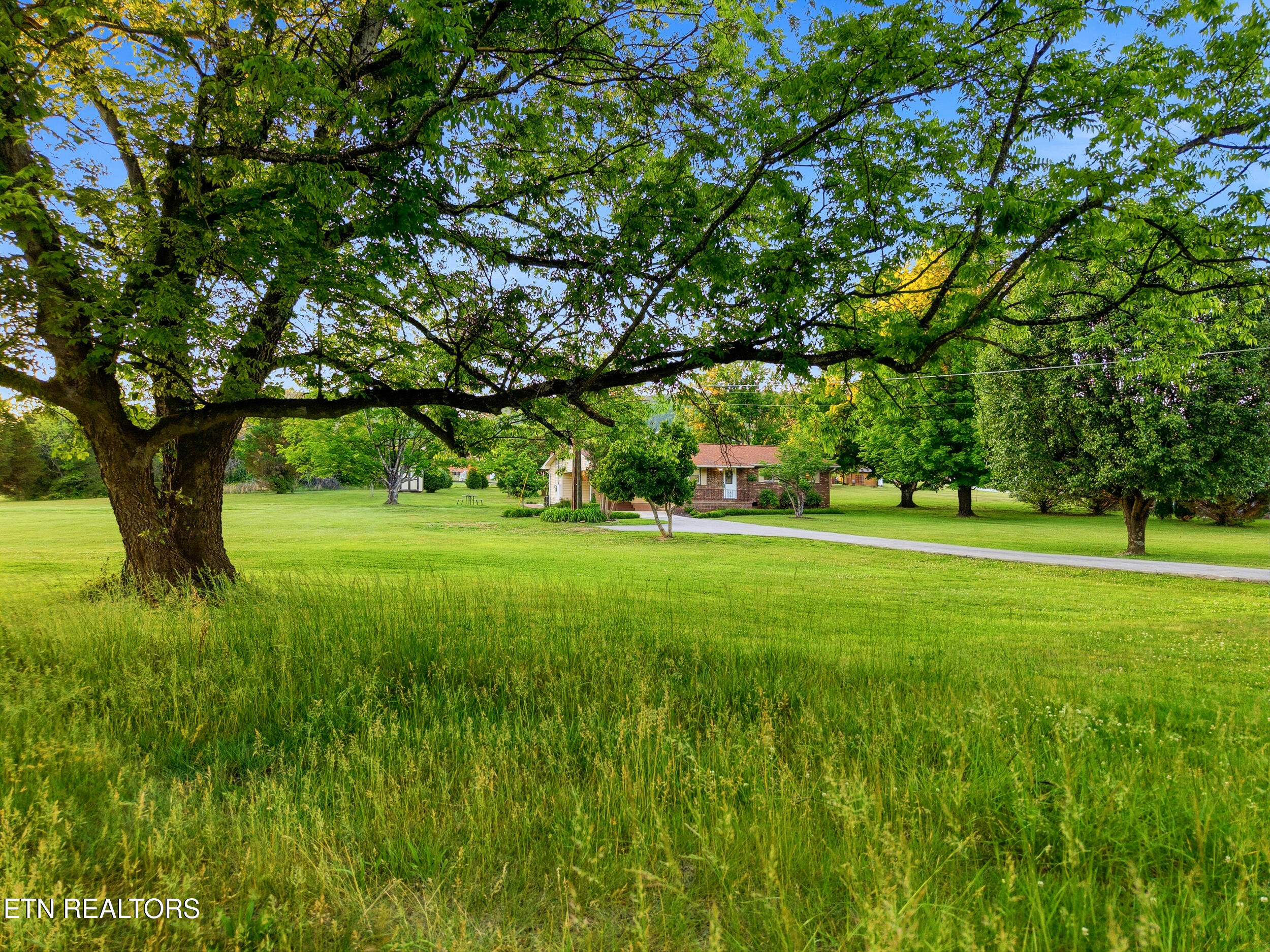 819 Rutledge Pike Blaine TN 37709