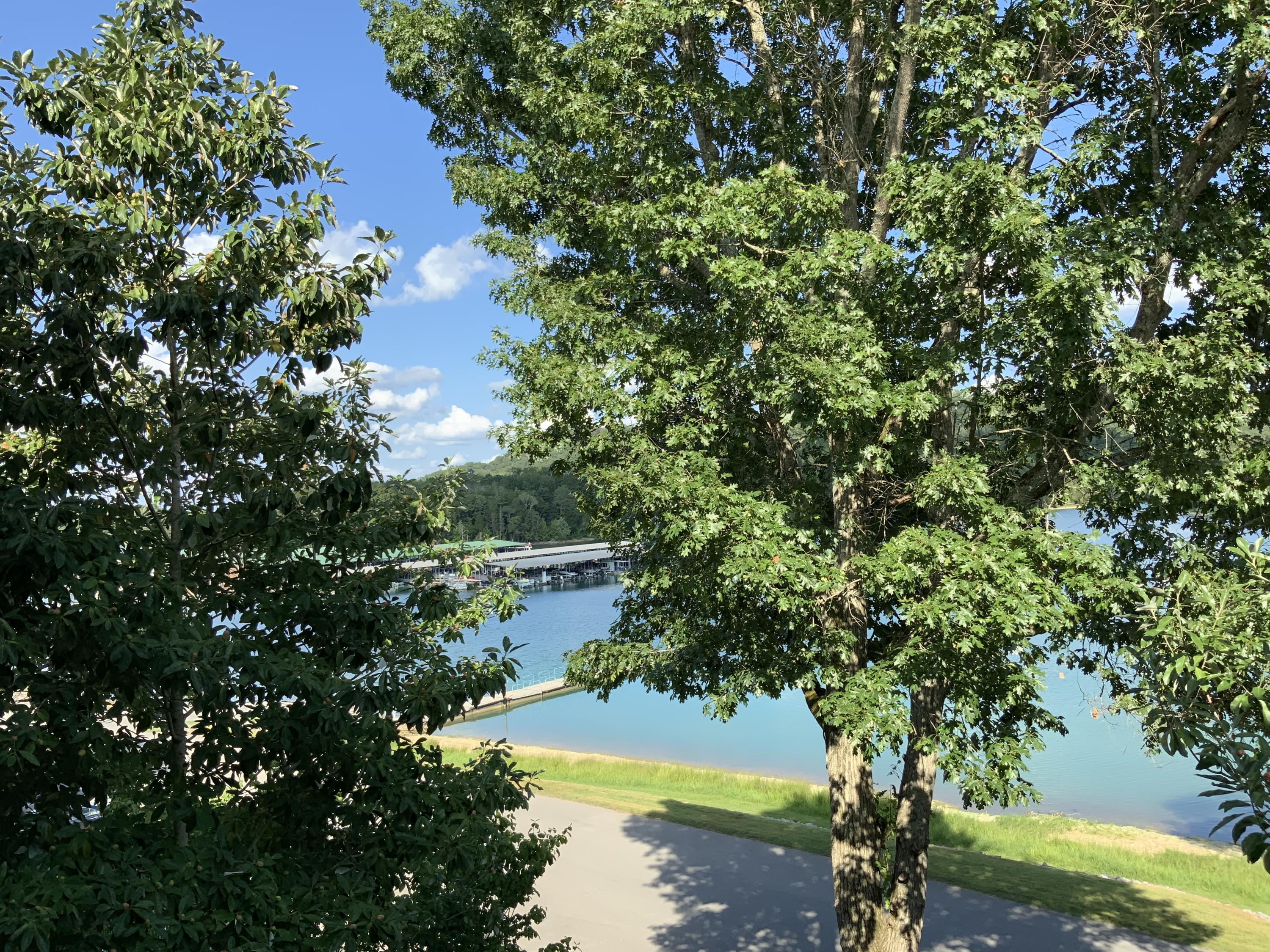 102 Waterside Circle Andersonville TN 37705