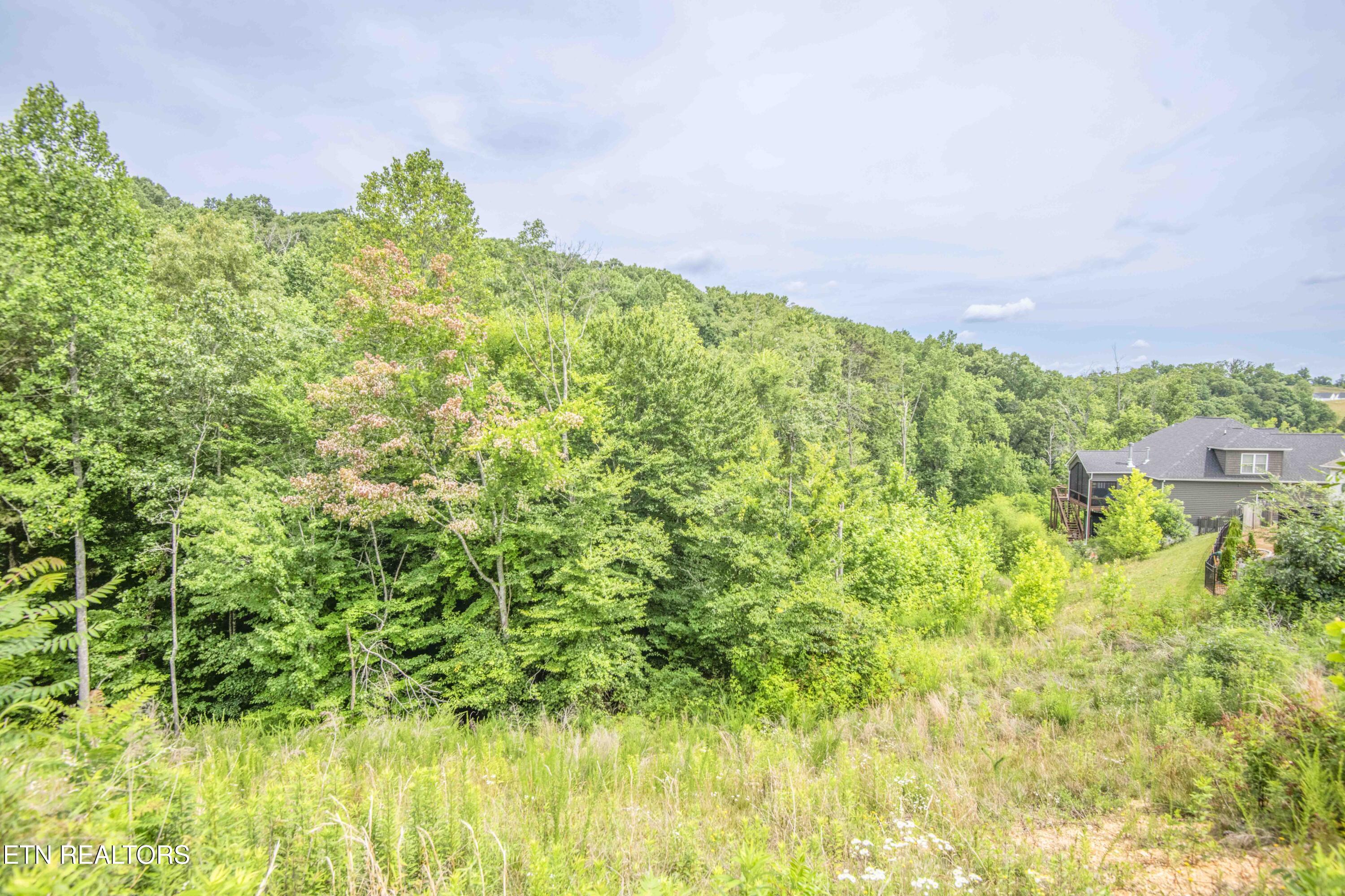 1905 Highlands Ridge Lane Knoxville TN 37932