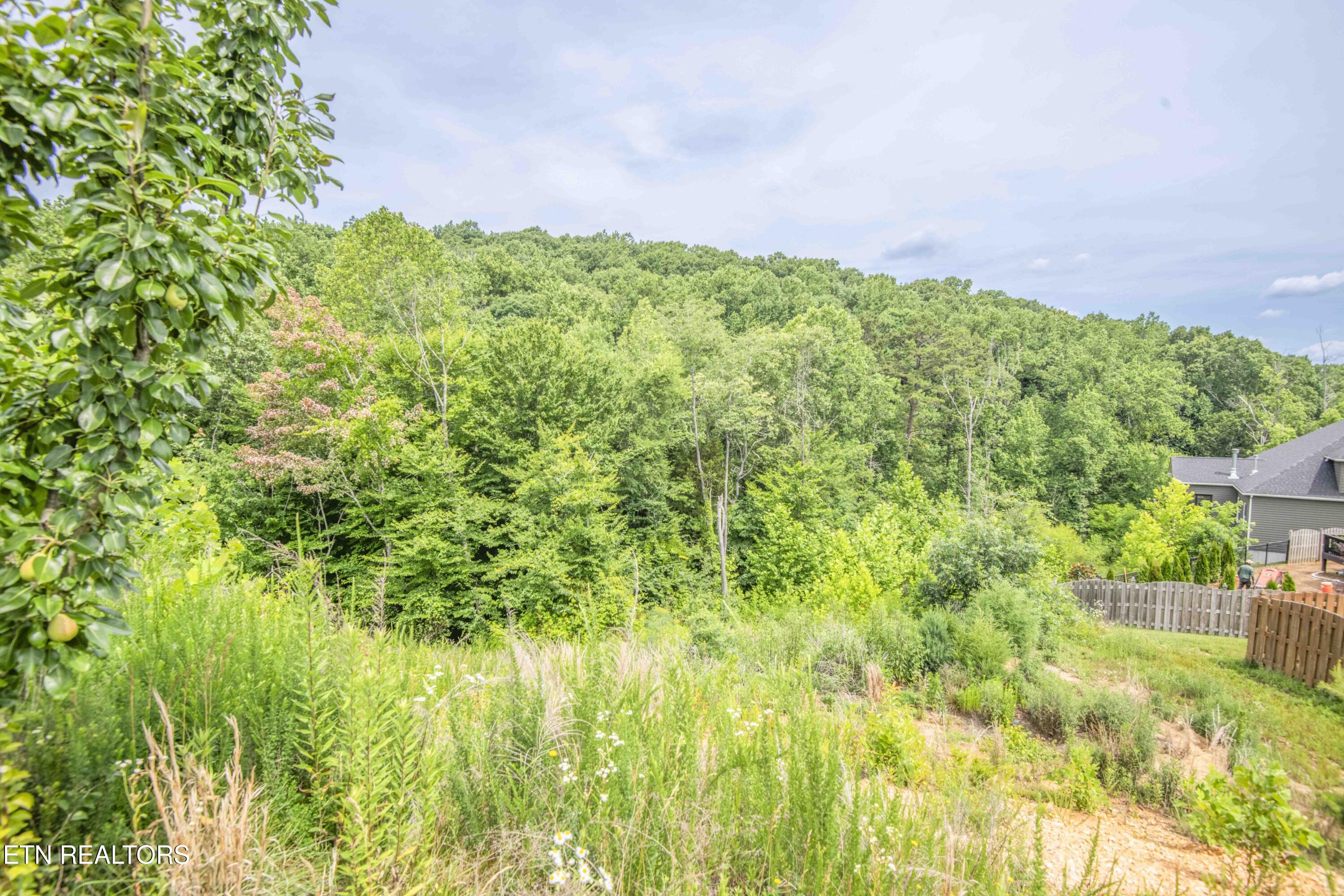 1905 Highlands Ridge Lane Knoxville TN 37932