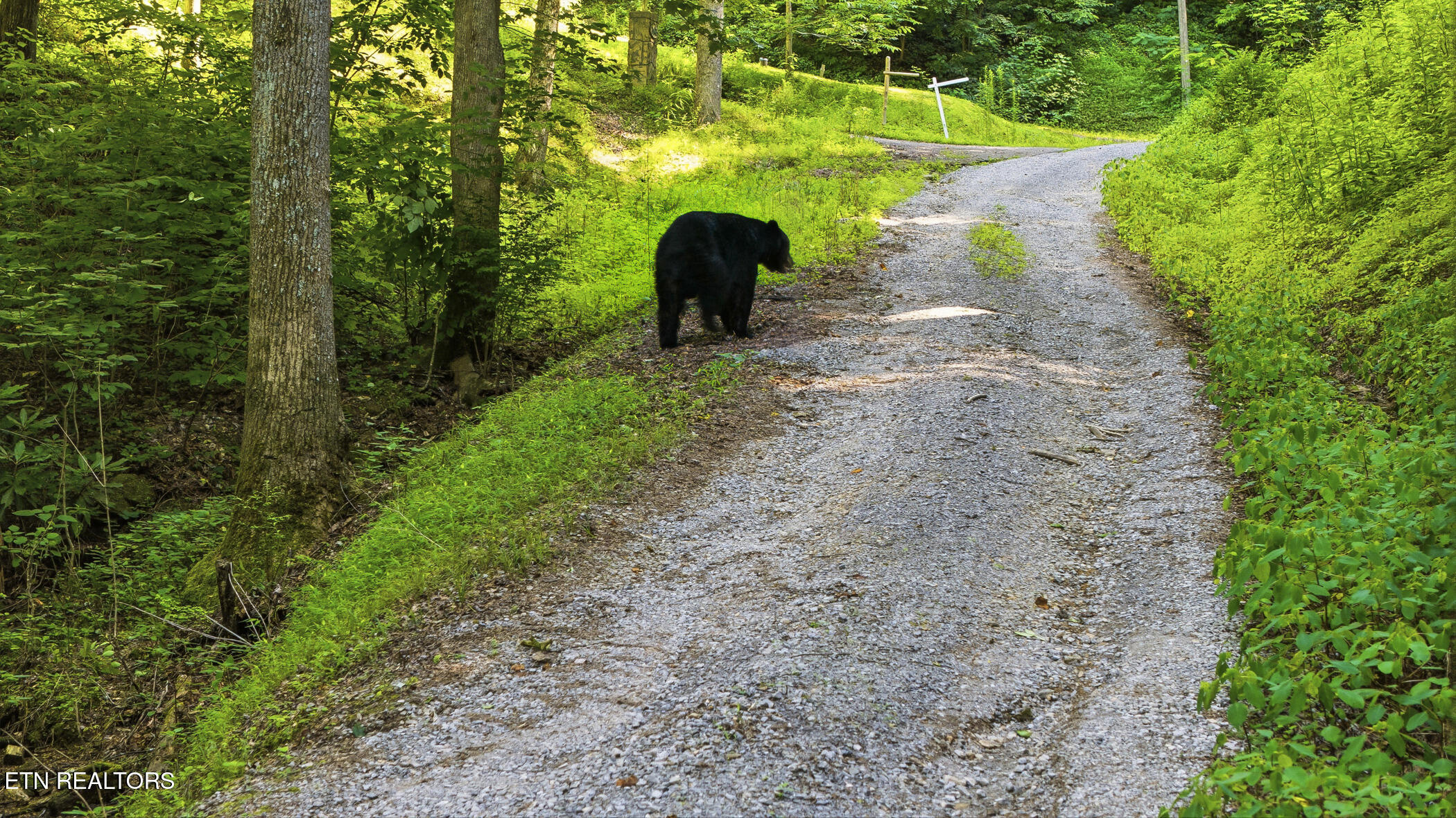 2685 S Clear Fork Road Sevierville TN 37862