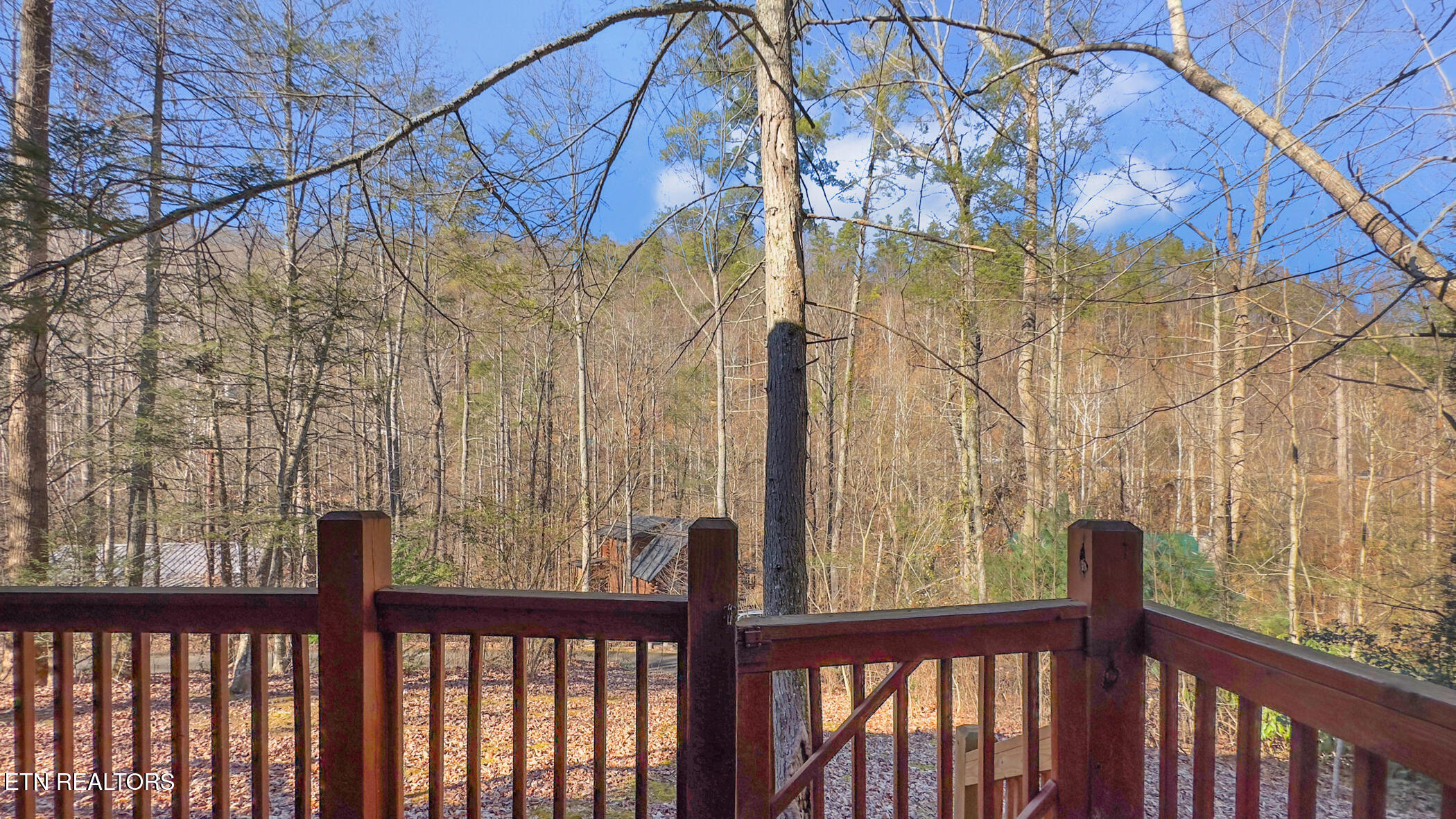 2230 Cove Creek Drive Sevierville TN 37862