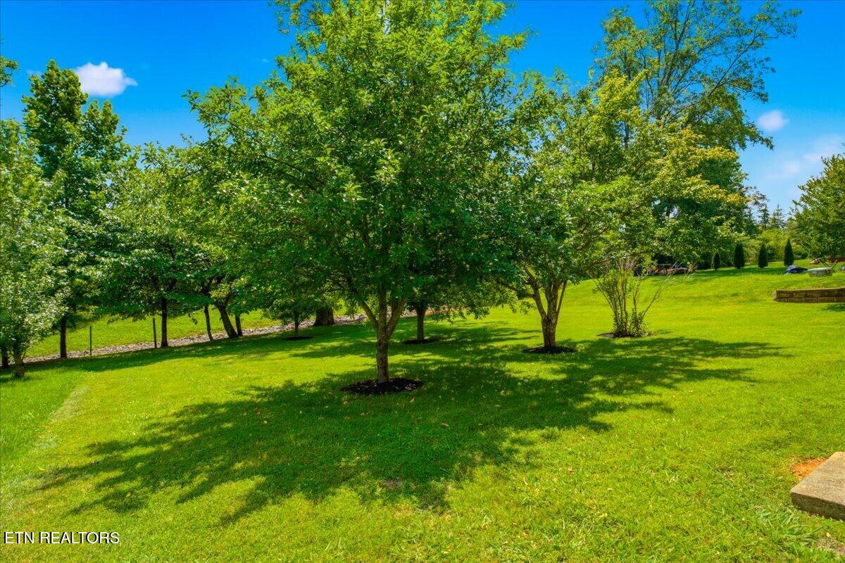 1076 Britts Drive Lenoir City TN 37772