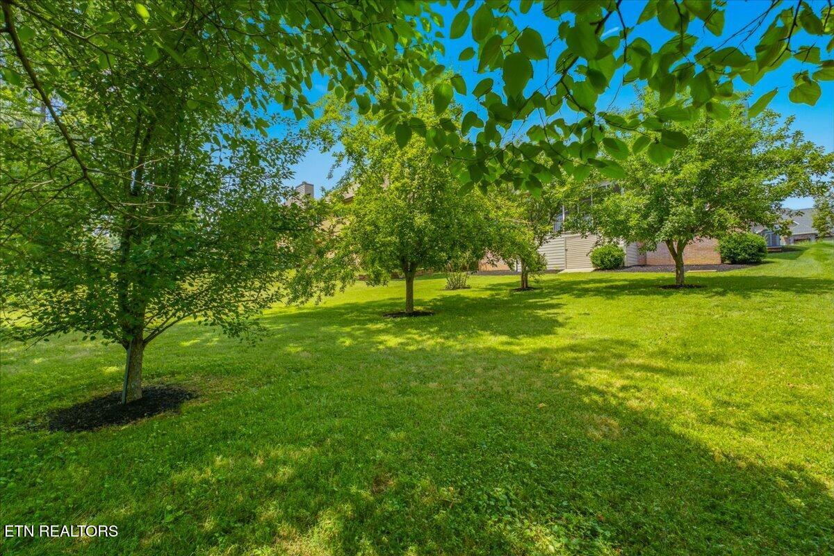 1076 Britts Drive Lenoir City TN 37772