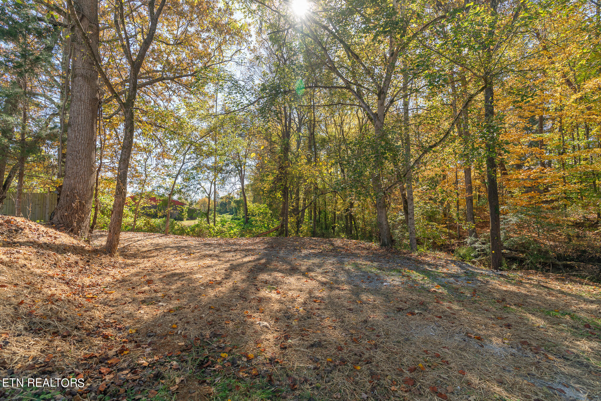 223 Hannah Drive Oliver Springs TN 37840