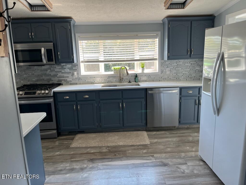 124 Oak Grove Lane Rocky Top TN 37769