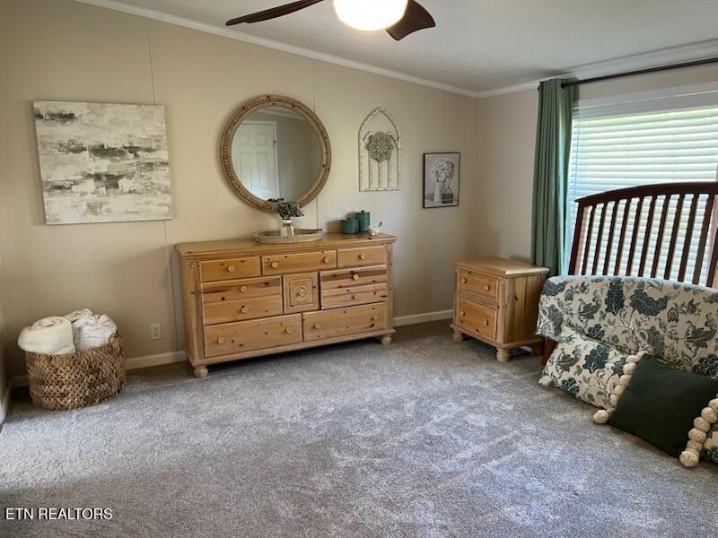 124 Oak Grove Lane Rocky Top TN 37769