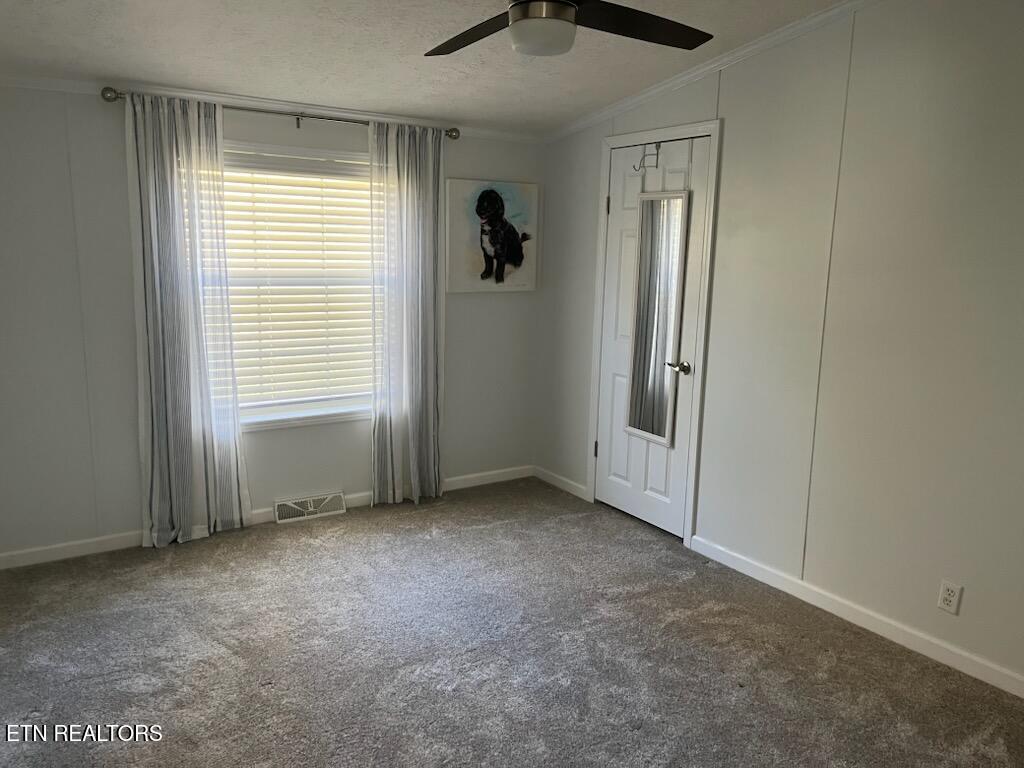 124 Oak Grove Lane Rocky Top TN 37769