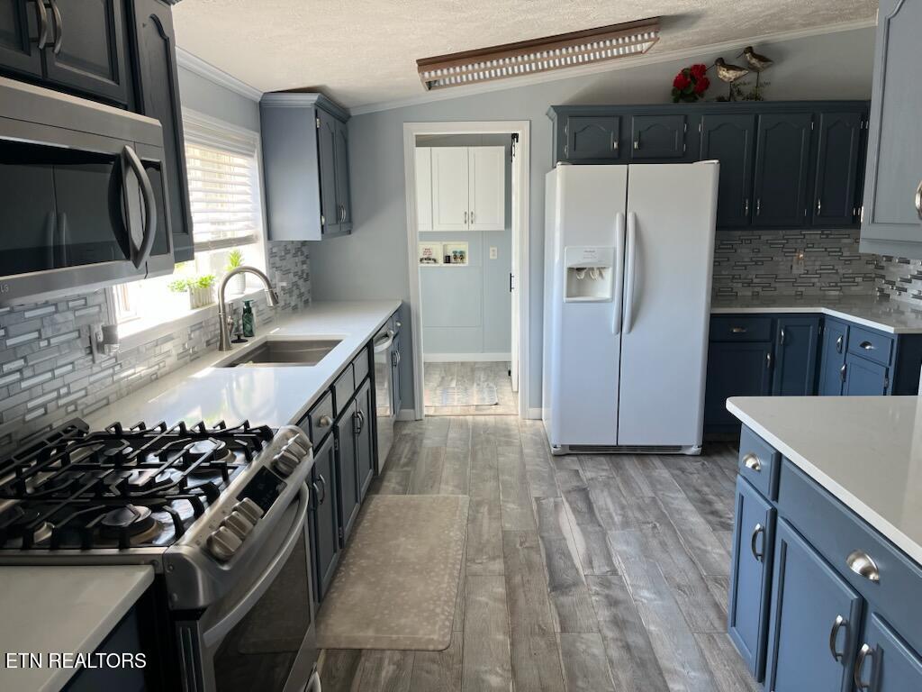 124 Oak Grove Lane Rocky Top TN 37769