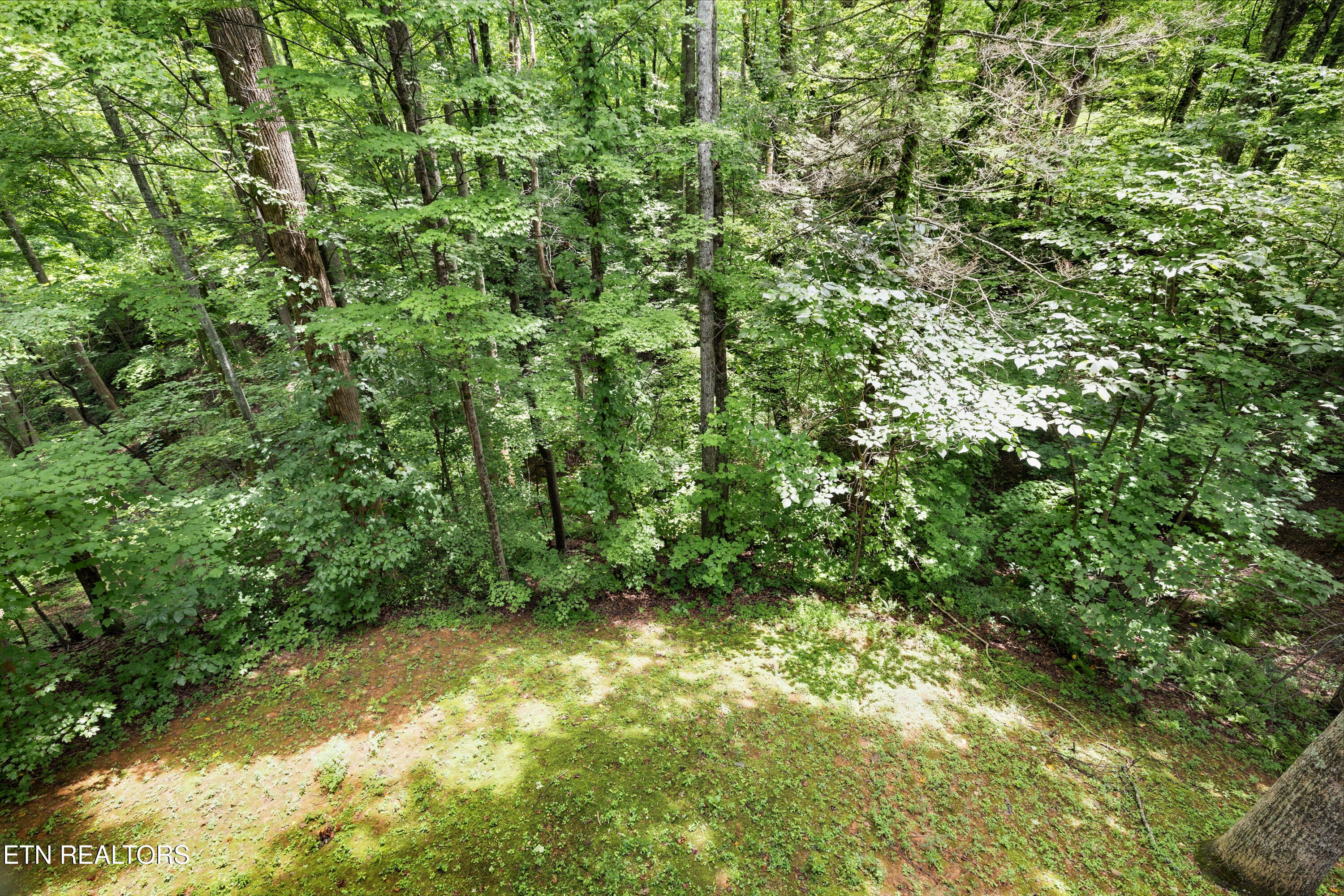 745 Hazy Circle Gatlinburg TN 37738