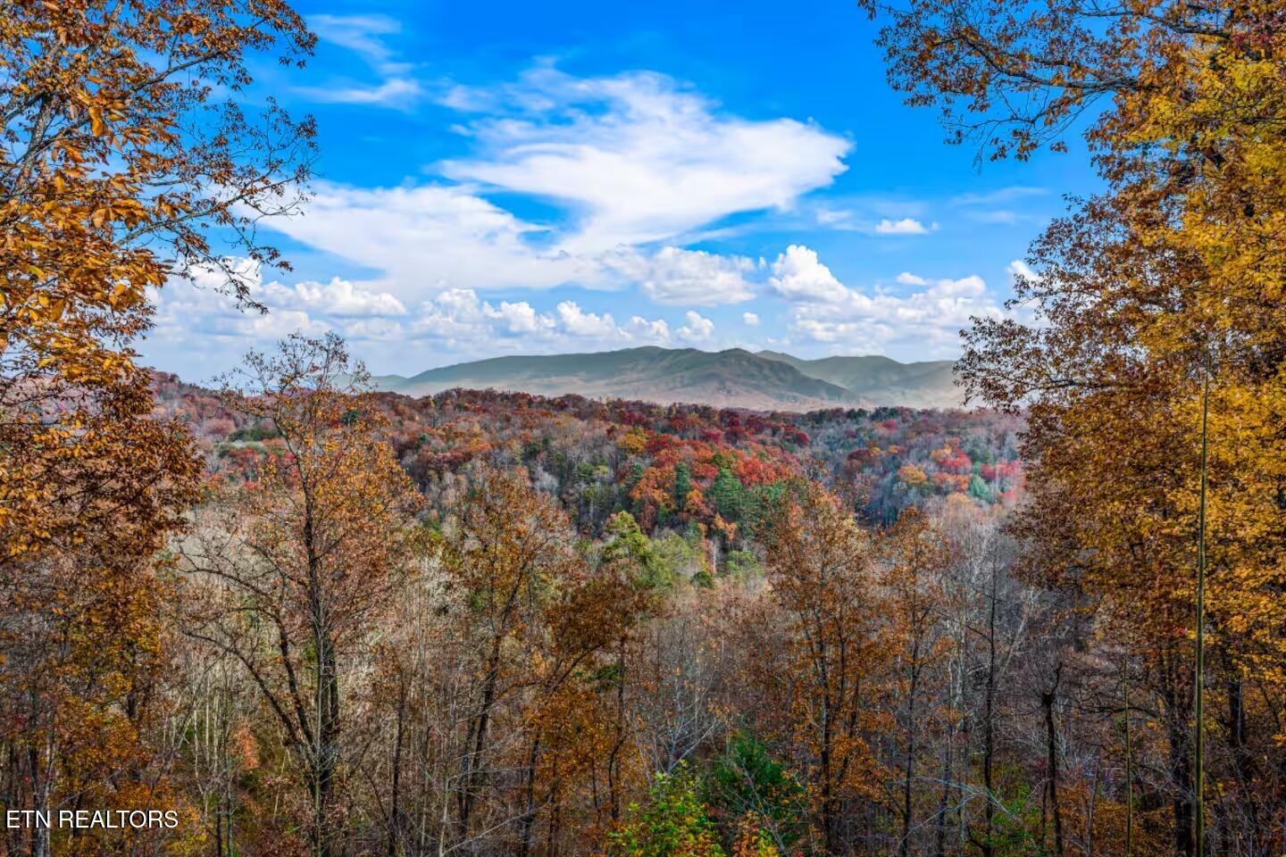 4361 Oakland Way Gatlinburg TN 37738