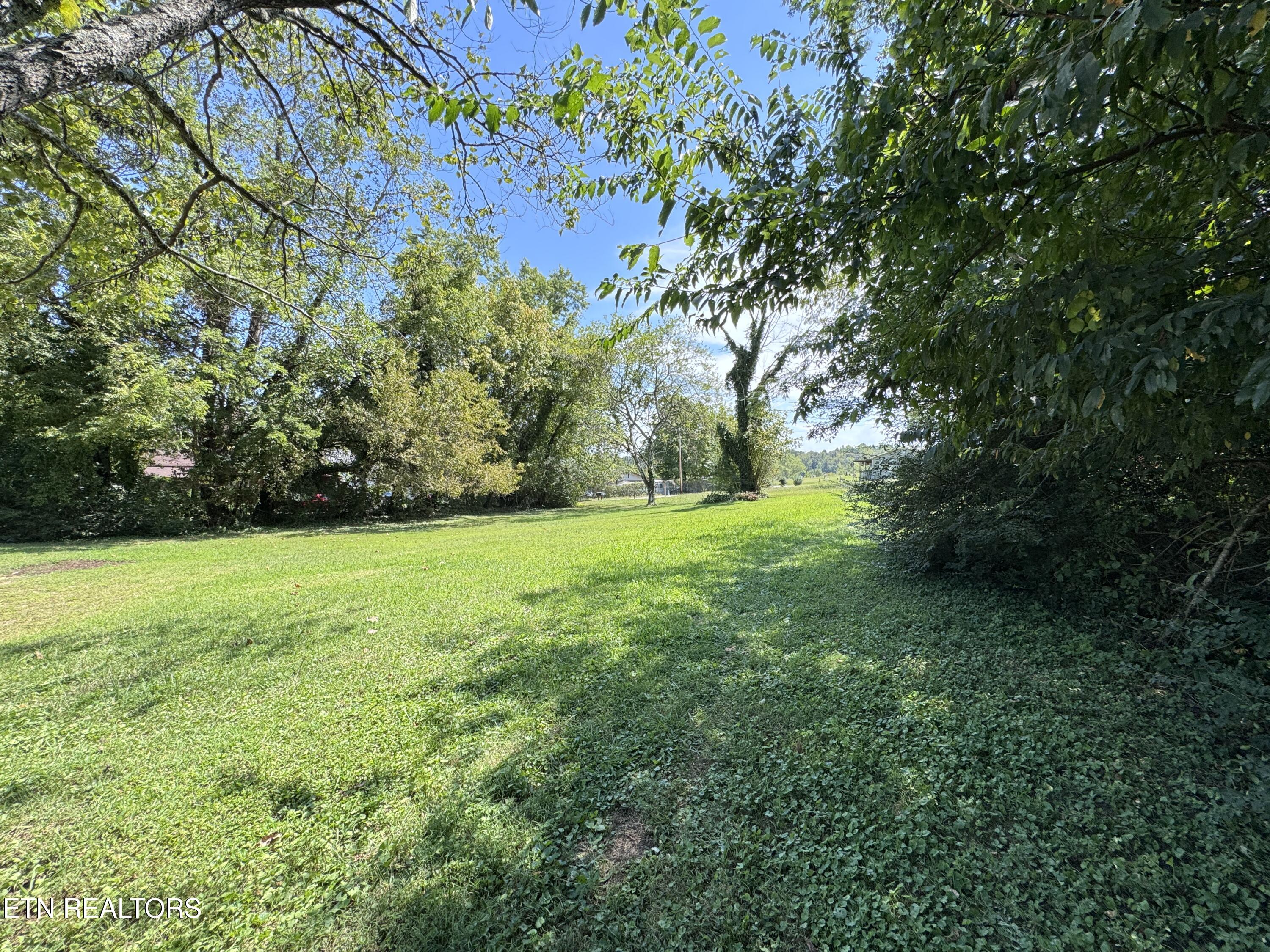 598 Kingston Avenue Rockwood TN 37854