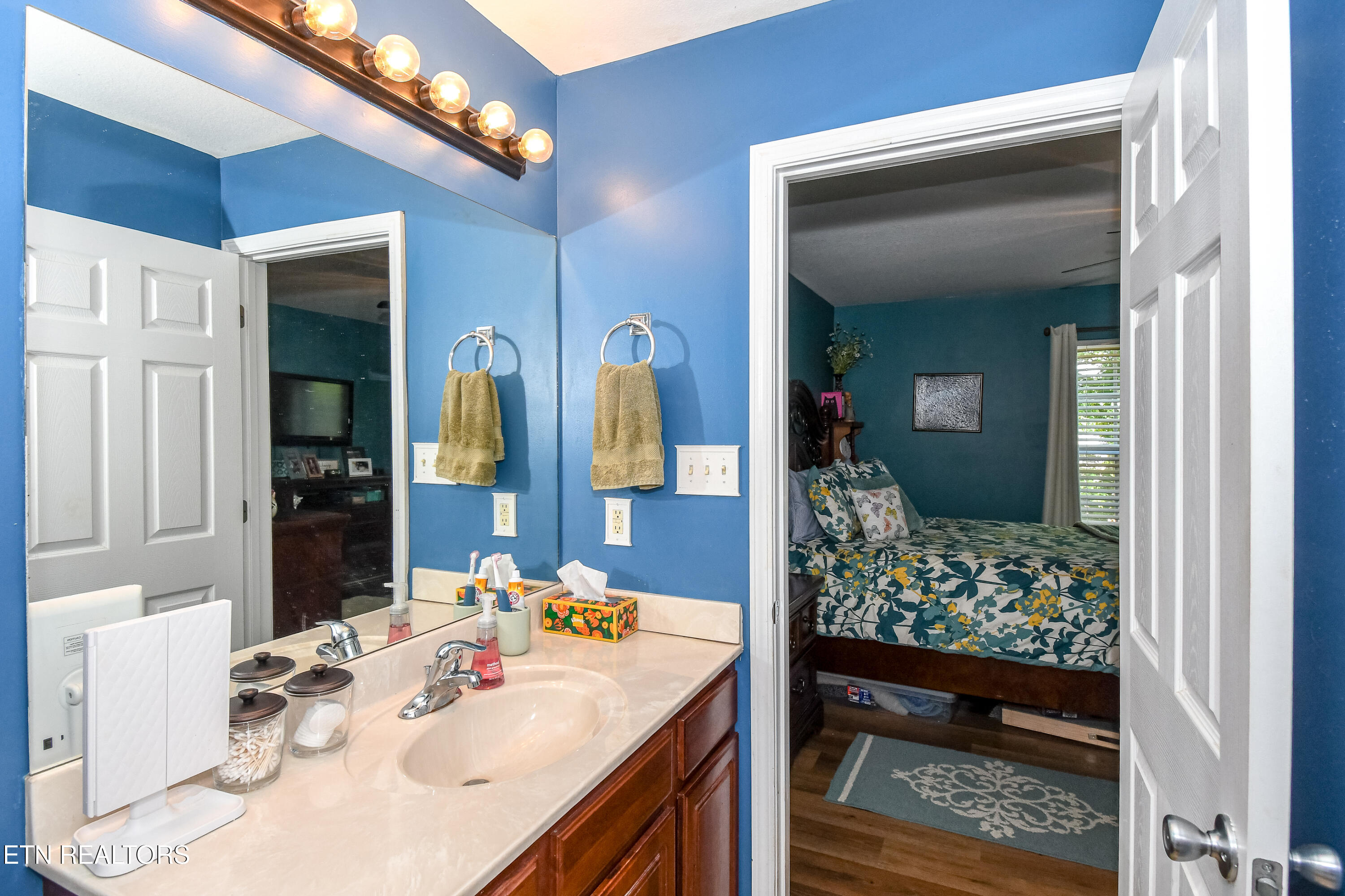 213 Tekoa Way Maryville TN 37804