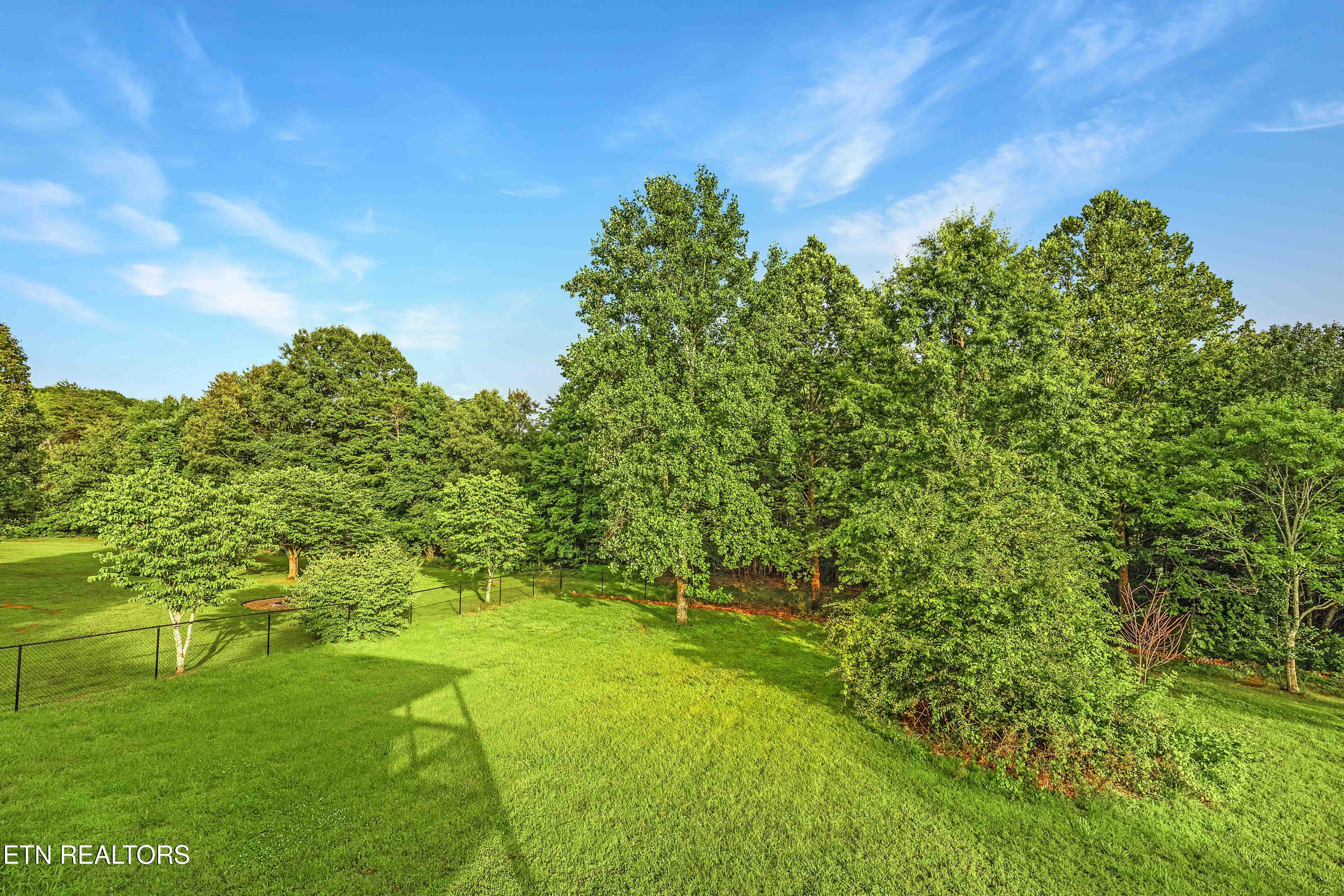 1245 Buford Court Greenback TN 37742