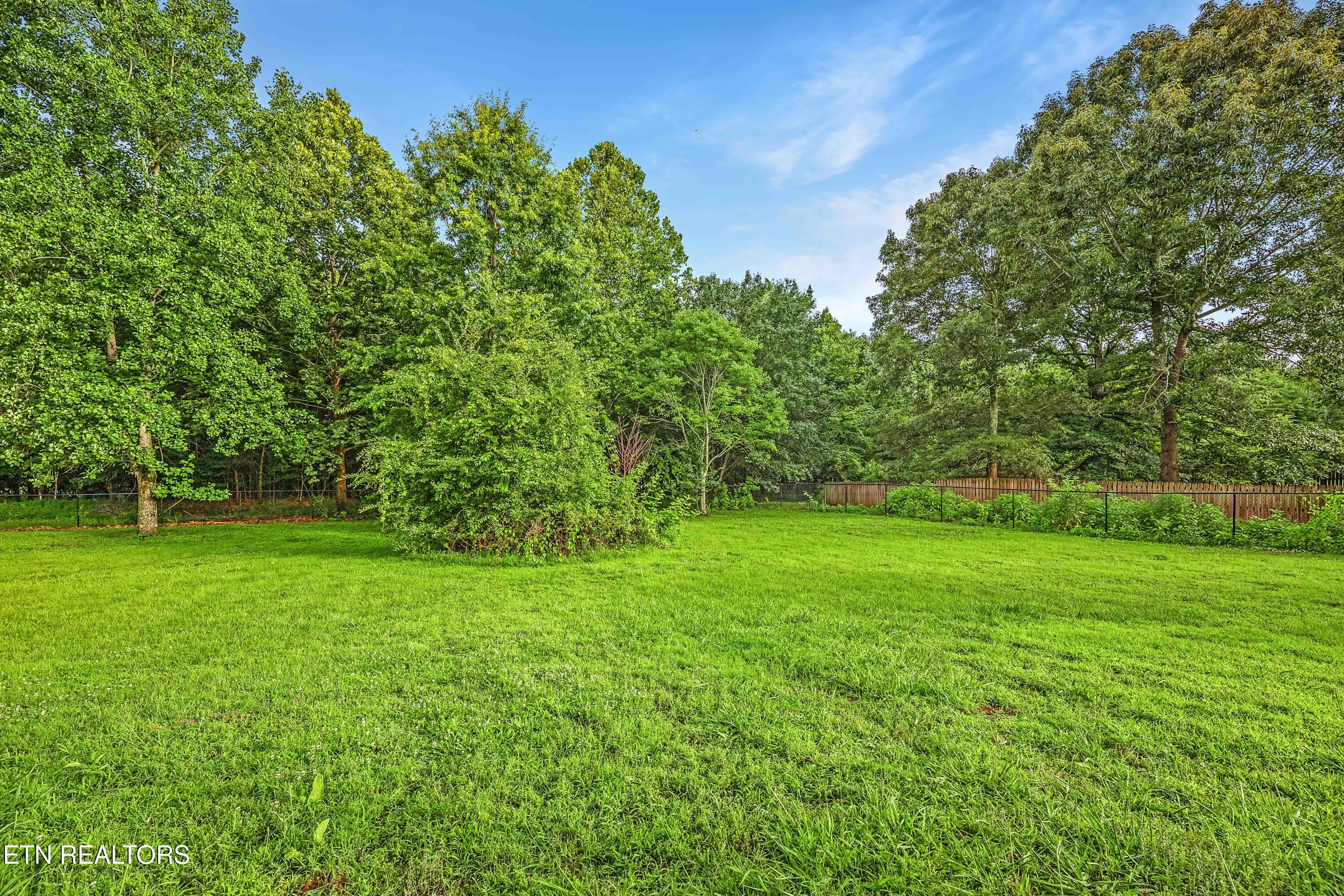 1245 Buford Court Greenback TN 37742