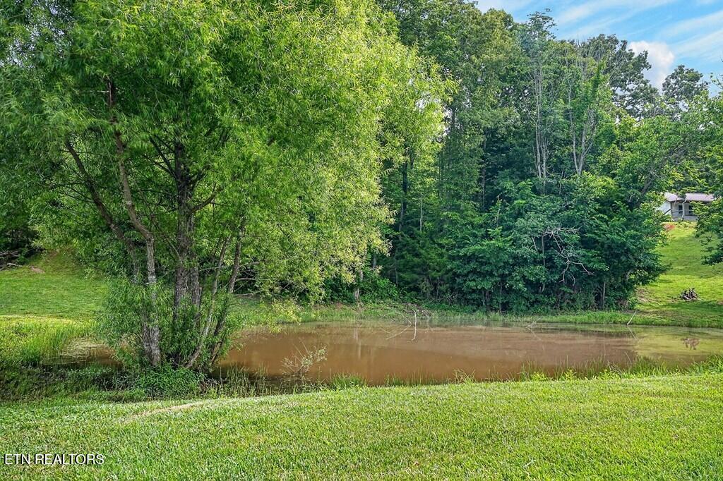 211 Arizona Lane Walling TN 38587