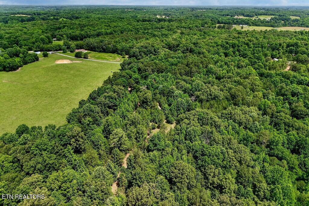 211 Arizona Lane Walling TN 38587