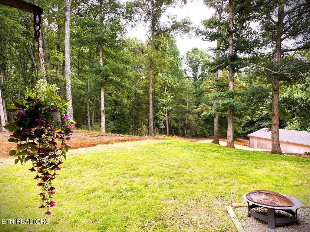 211 Arizona Lane Walling TN 38587