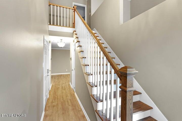 8416 Ashley Oak Way Knoxville TN 37923