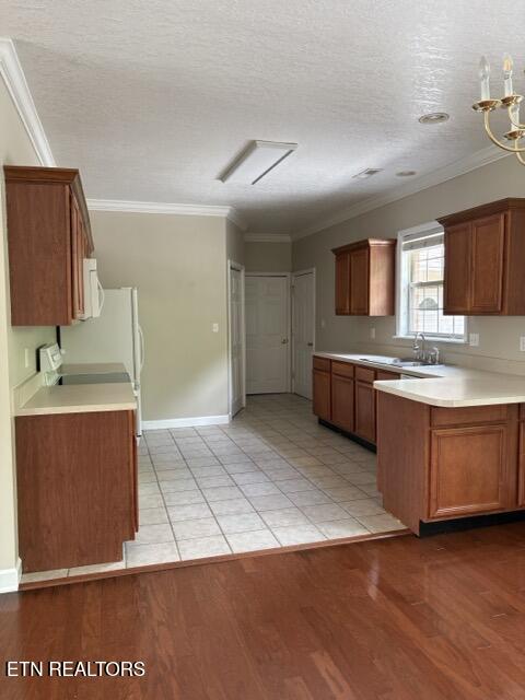 213C Brentwood Way Kingston TN 37763