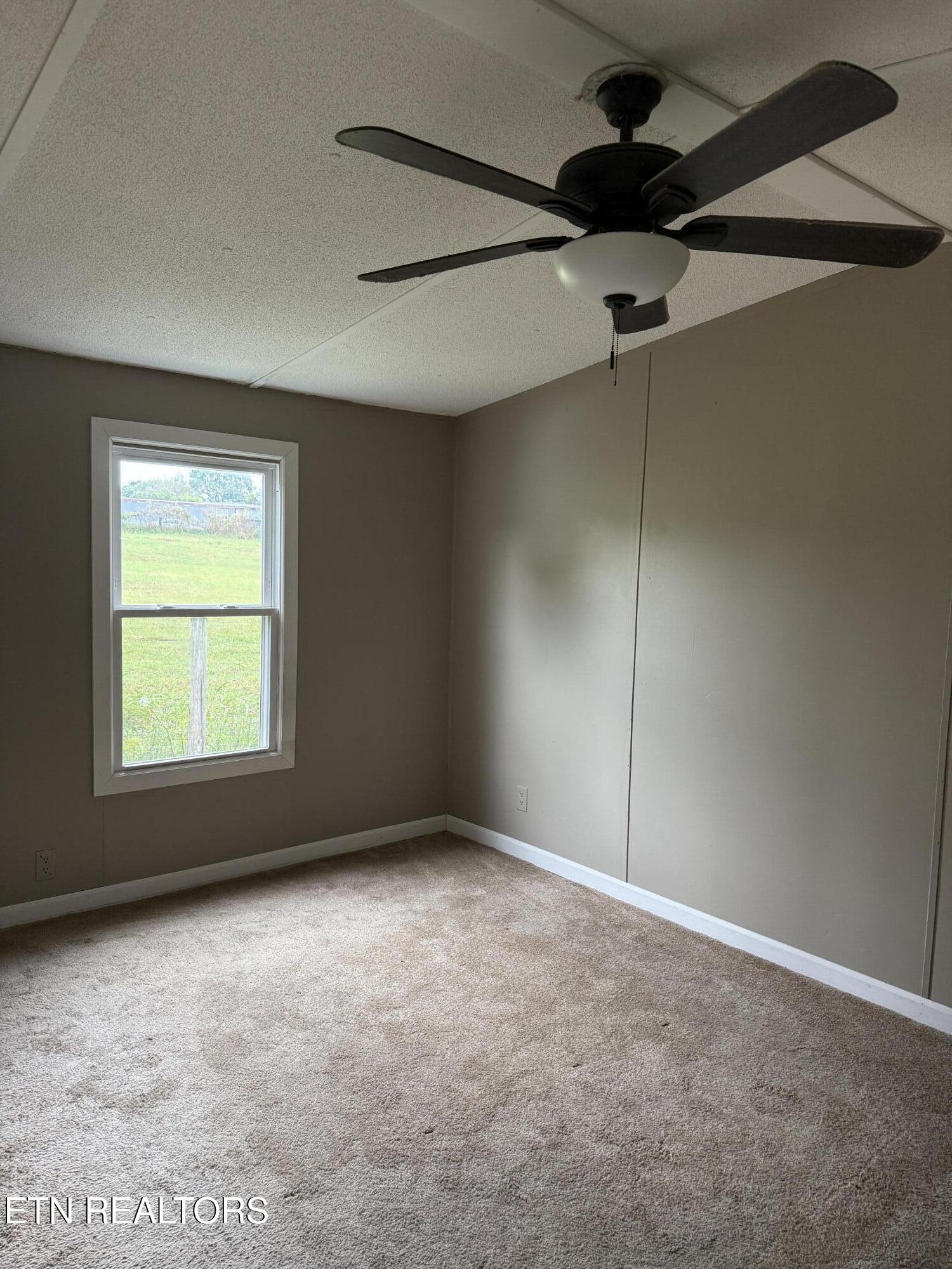 12 Kingswood Road Talbott TN 37877