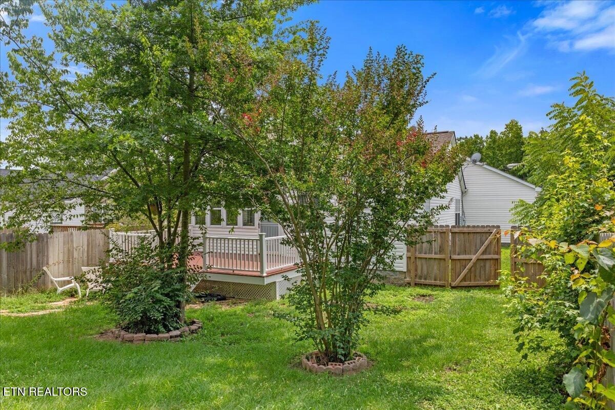 10629 Lone Star Way Knoxville TN 37932