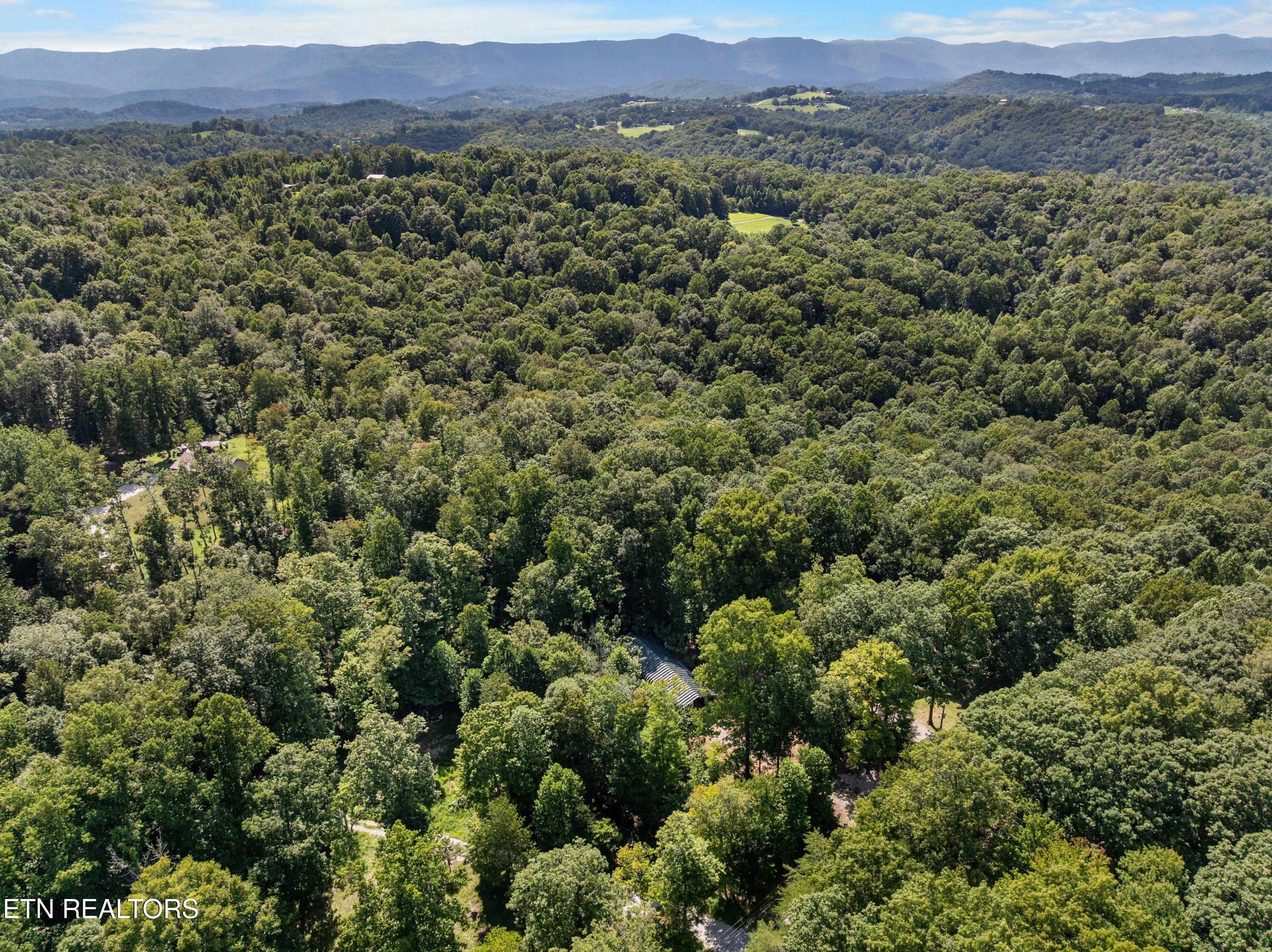 598 Hiawassee View Drive Jacksboro TN 37757