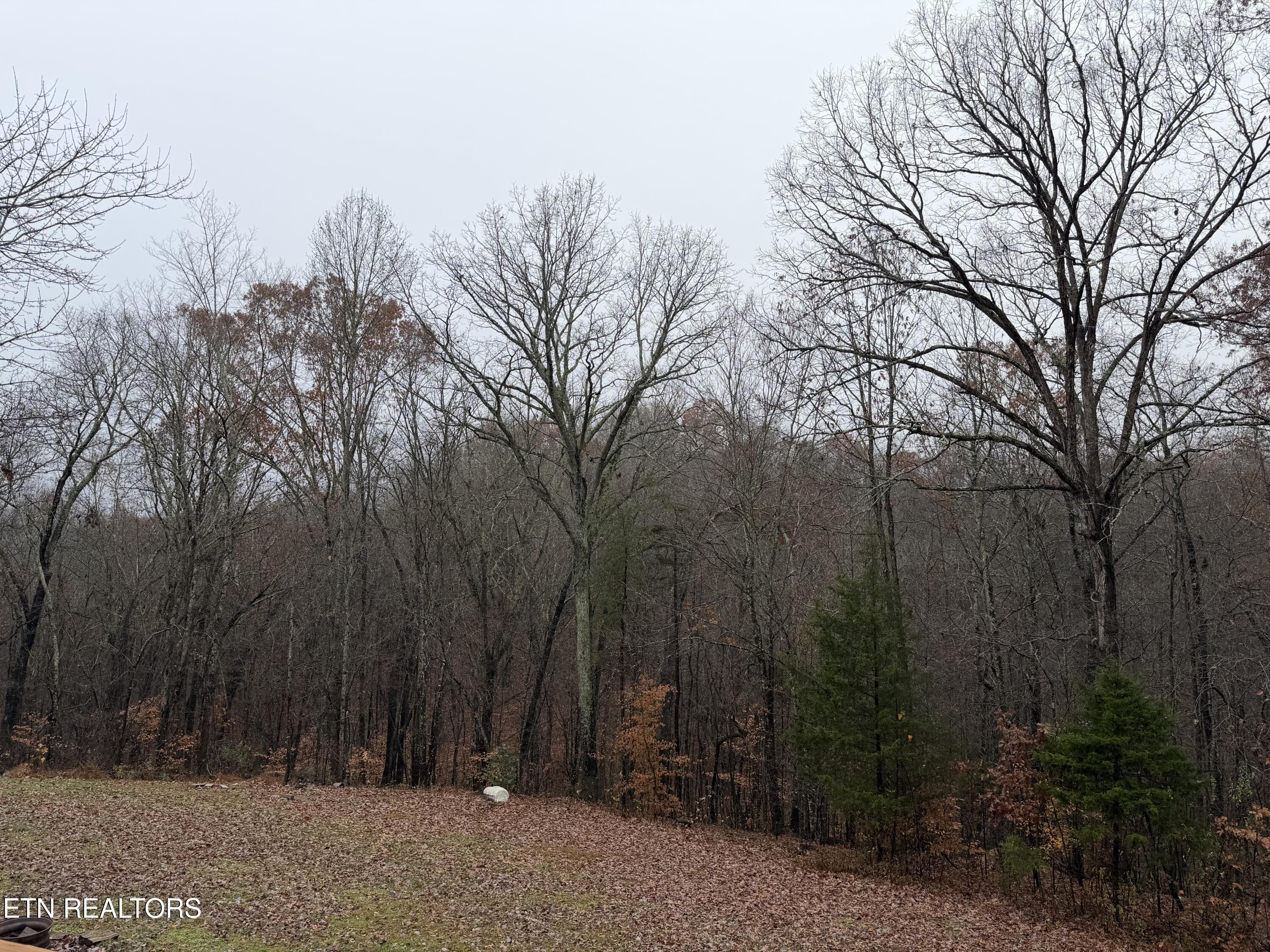 152 Country Way Drive Lafollette TN 37766