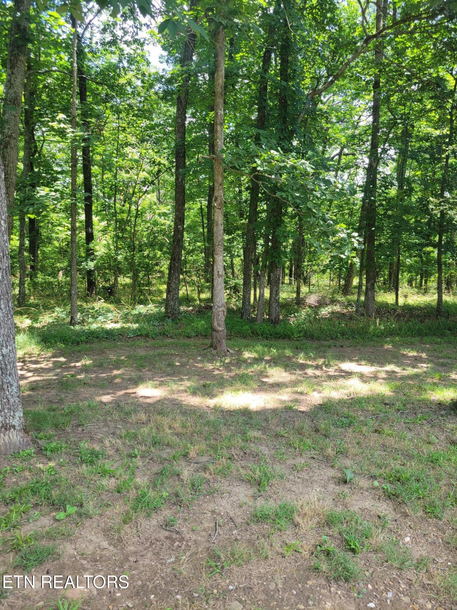 456 Snead Drive Crossville TN 38558
