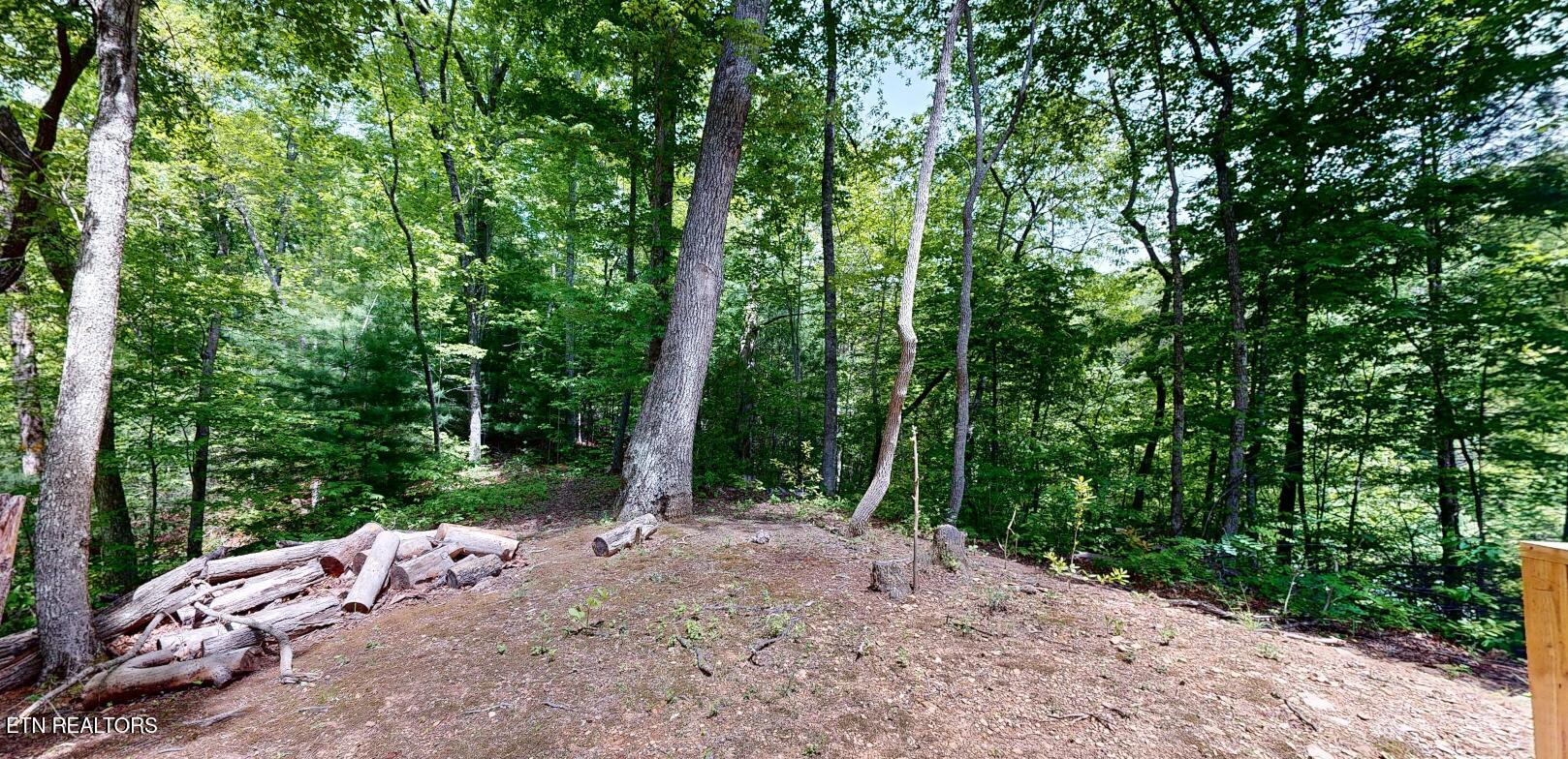 1709 Floyd Way Gatlinburg TN 37738