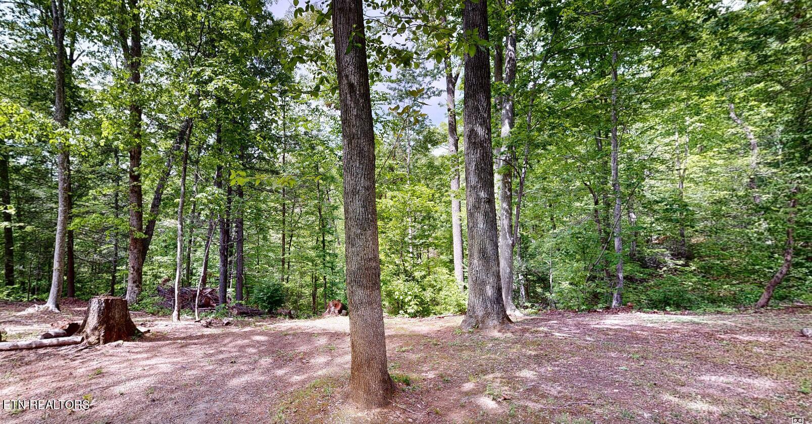 1709 Floyd Way Gatlinburg TN 37738