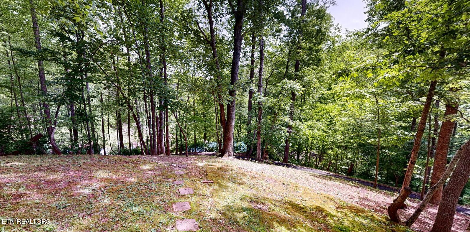 1709 Floyd Way Gatlinburg TN 37738