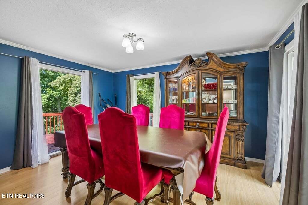 103 Morgan Road Oak Ridge TN 37830