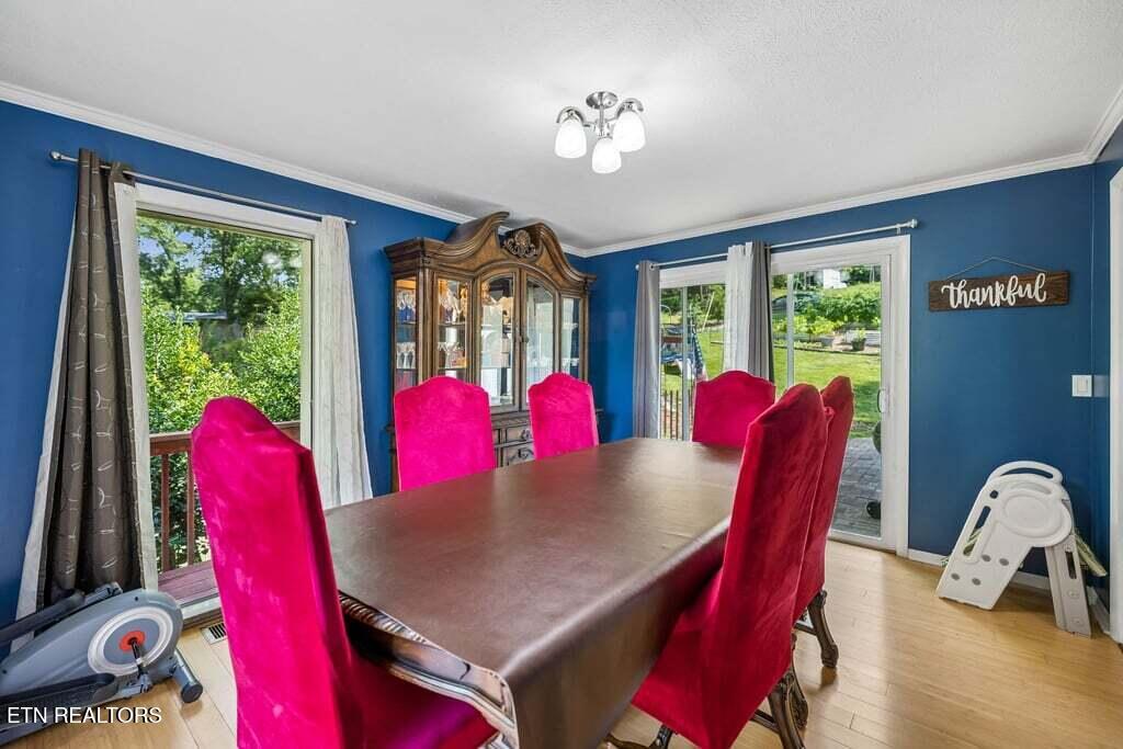 103 Morgan Road Oak Ridge TN 37830
