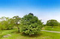 661 Harrison Ferry Road White Pine TN 37890